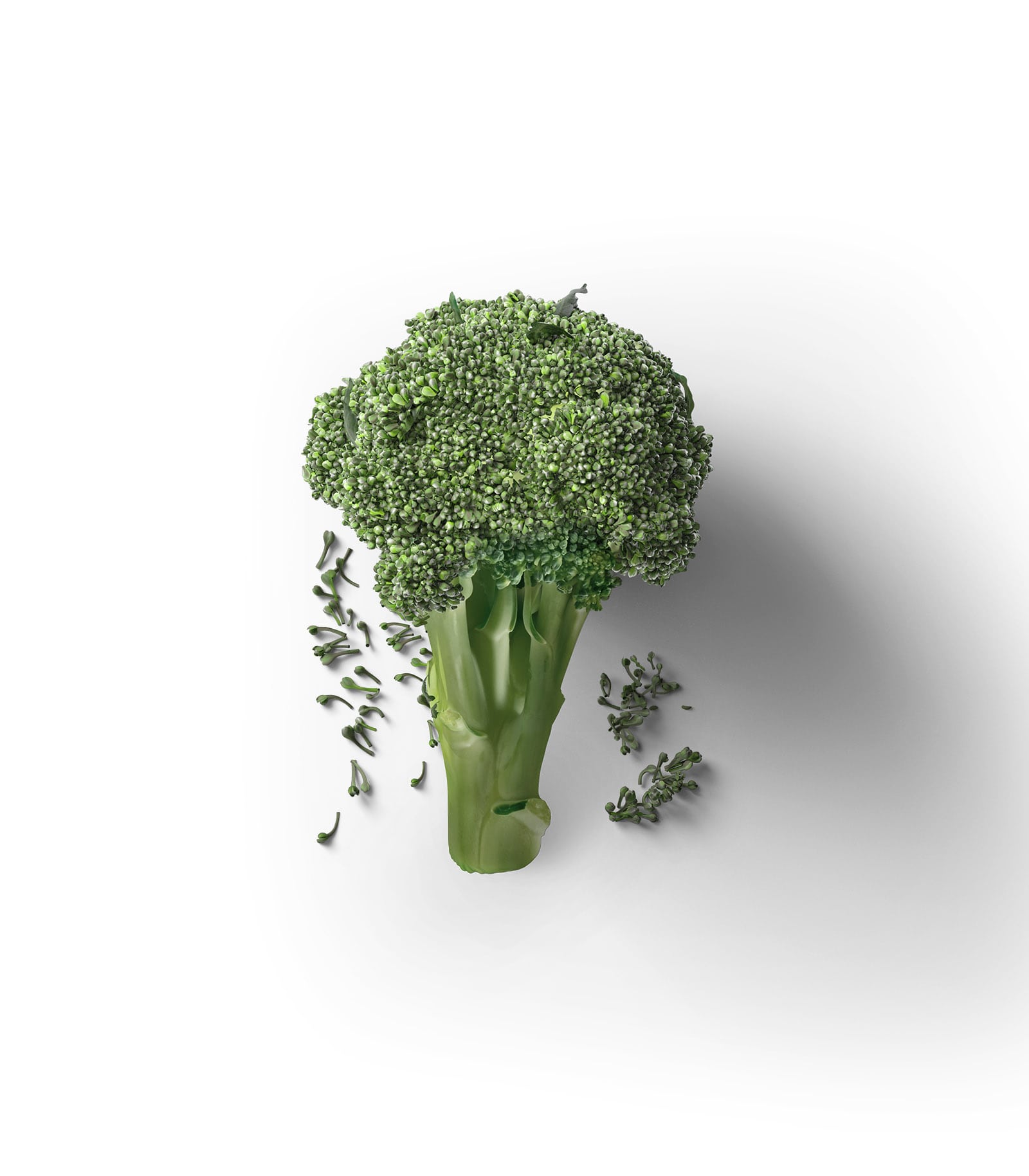 Mockup brocoli top Mockup Brocoli Top