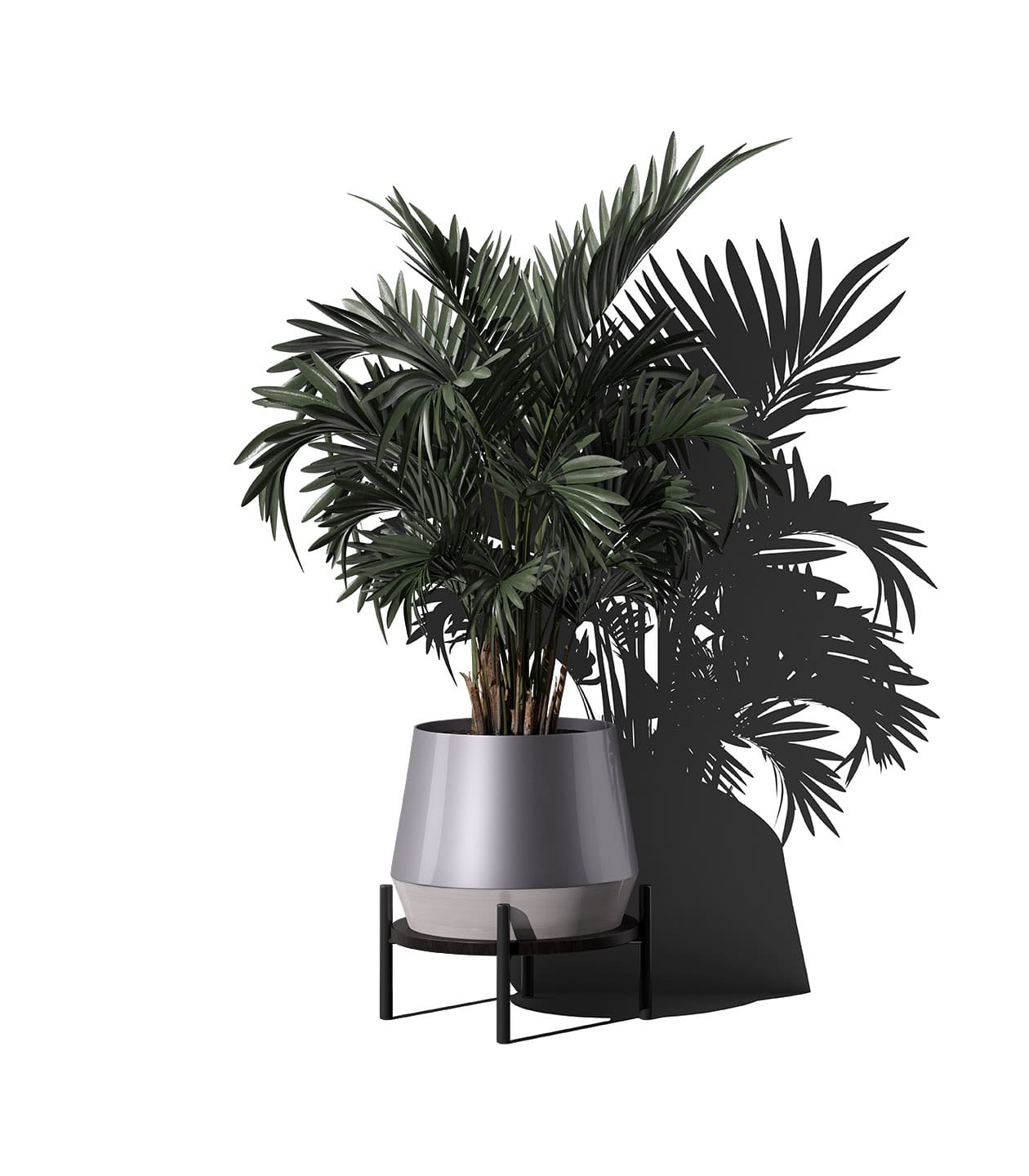 Mockup areca palm in pot v3 front view Mockup Areca Palm In Pot V3 Front View
