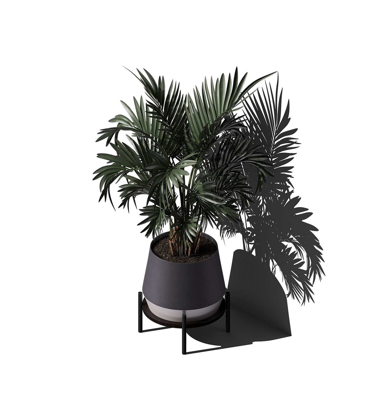 Mockup areca palm in pot v3 isometric Mockup Areca Palm In Pot V3 Isometric
