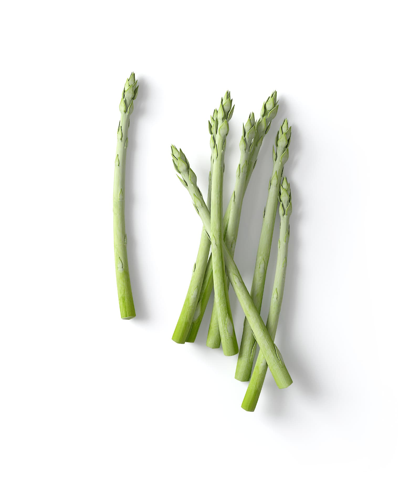 Mockup asparagus v2 top Mockup Asparagus V2 Top