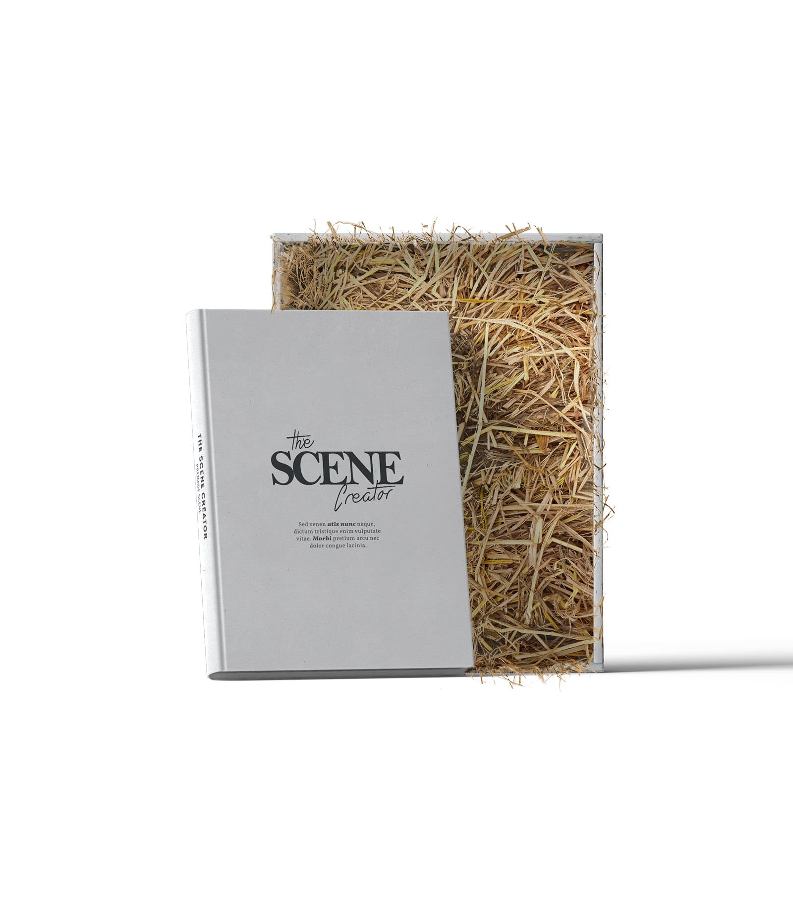 Mockup box with hay and book front Mockup Box With Hay And Book Front