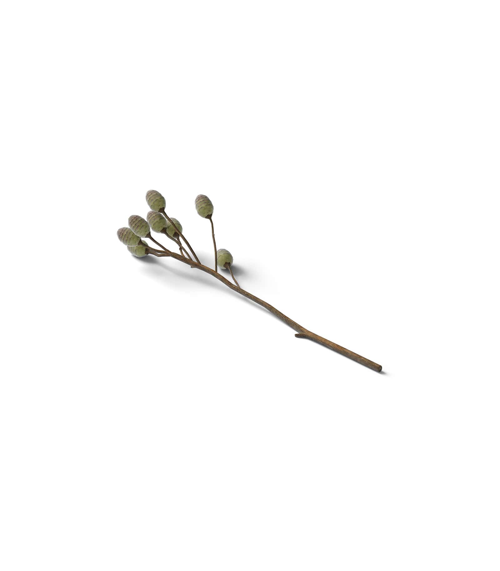 Mockup branch isometric v1 Mockup Branch Isometric V1