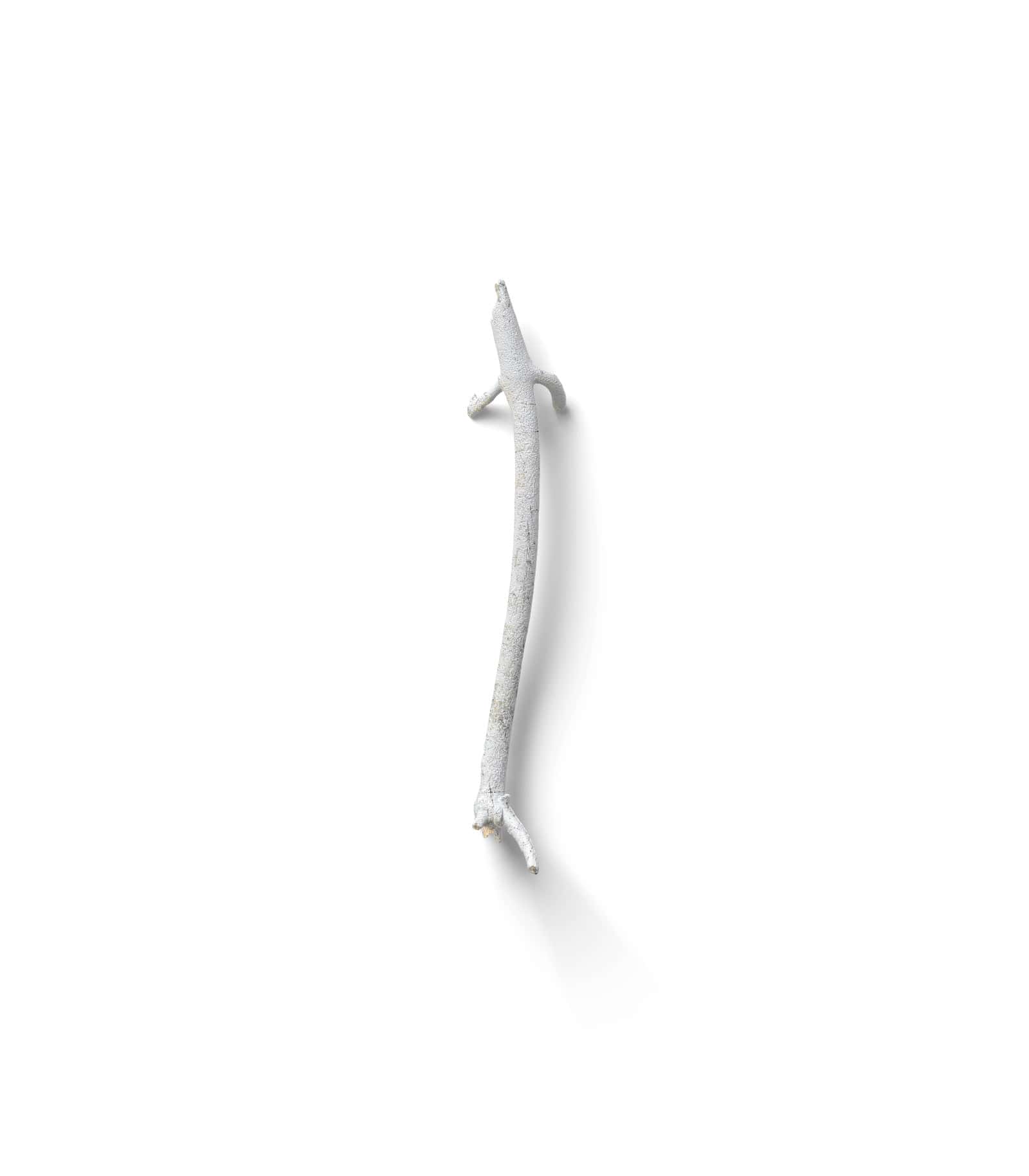 Mockup branch top v15 Mockup Branch Top V15