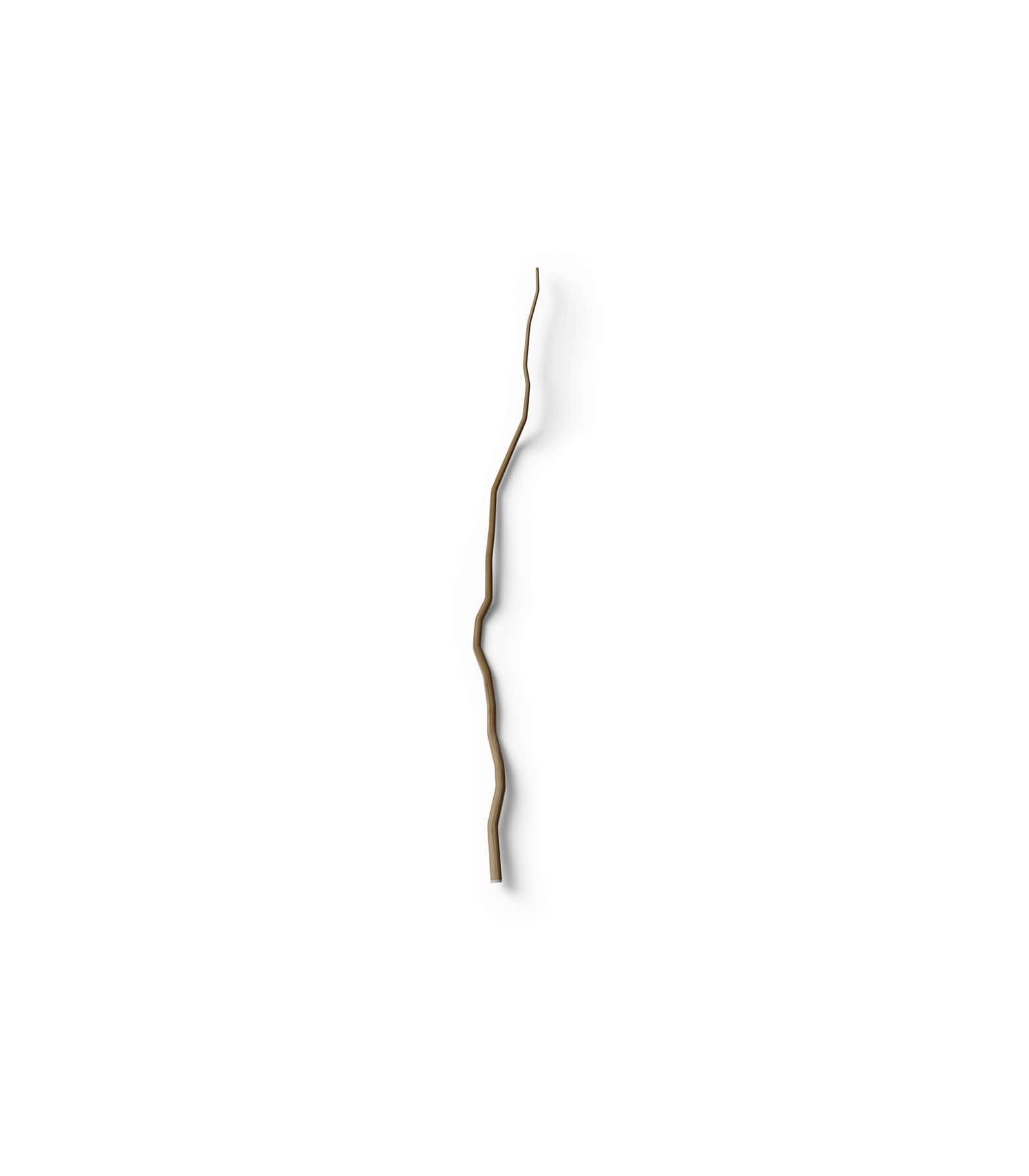 Mockup branch top v17 Mockup Branch Top V17