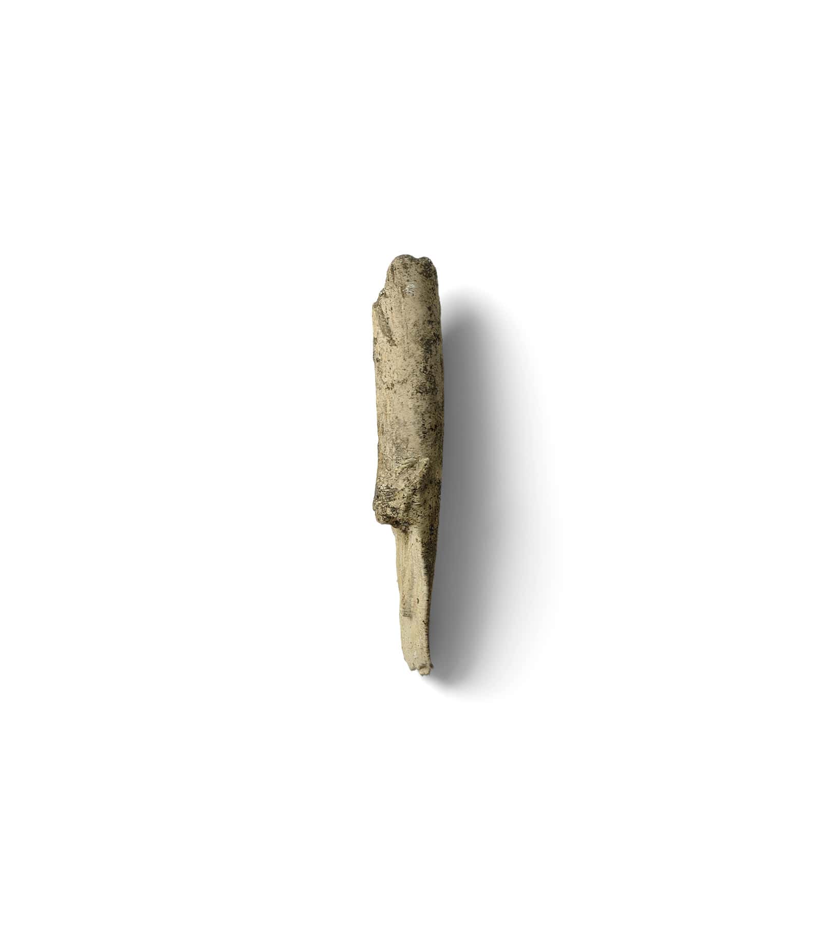 Mockup branch top v2 Mockup Branch Top V2