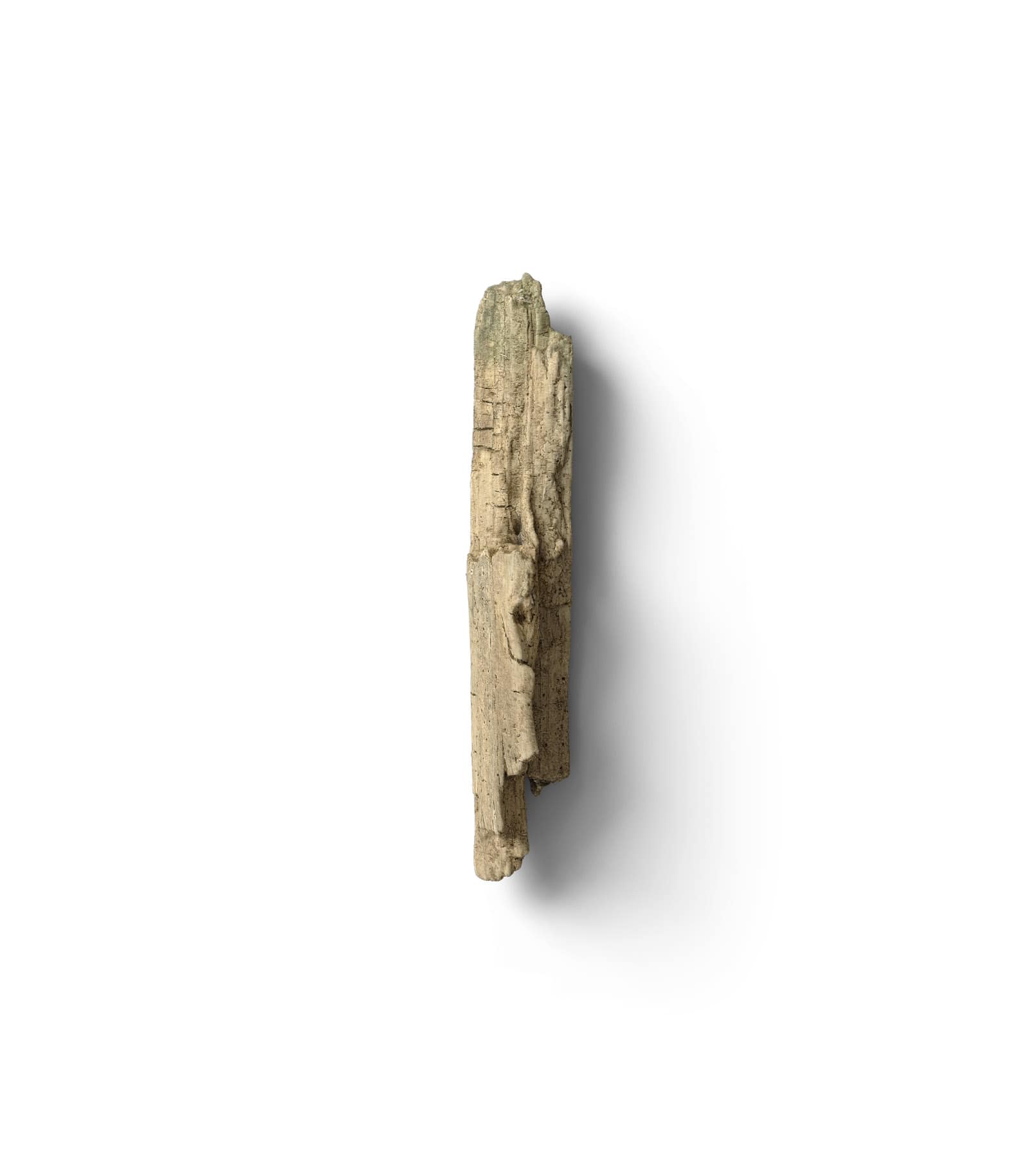 Mockup branch top v3 Mockup Branch Top V3