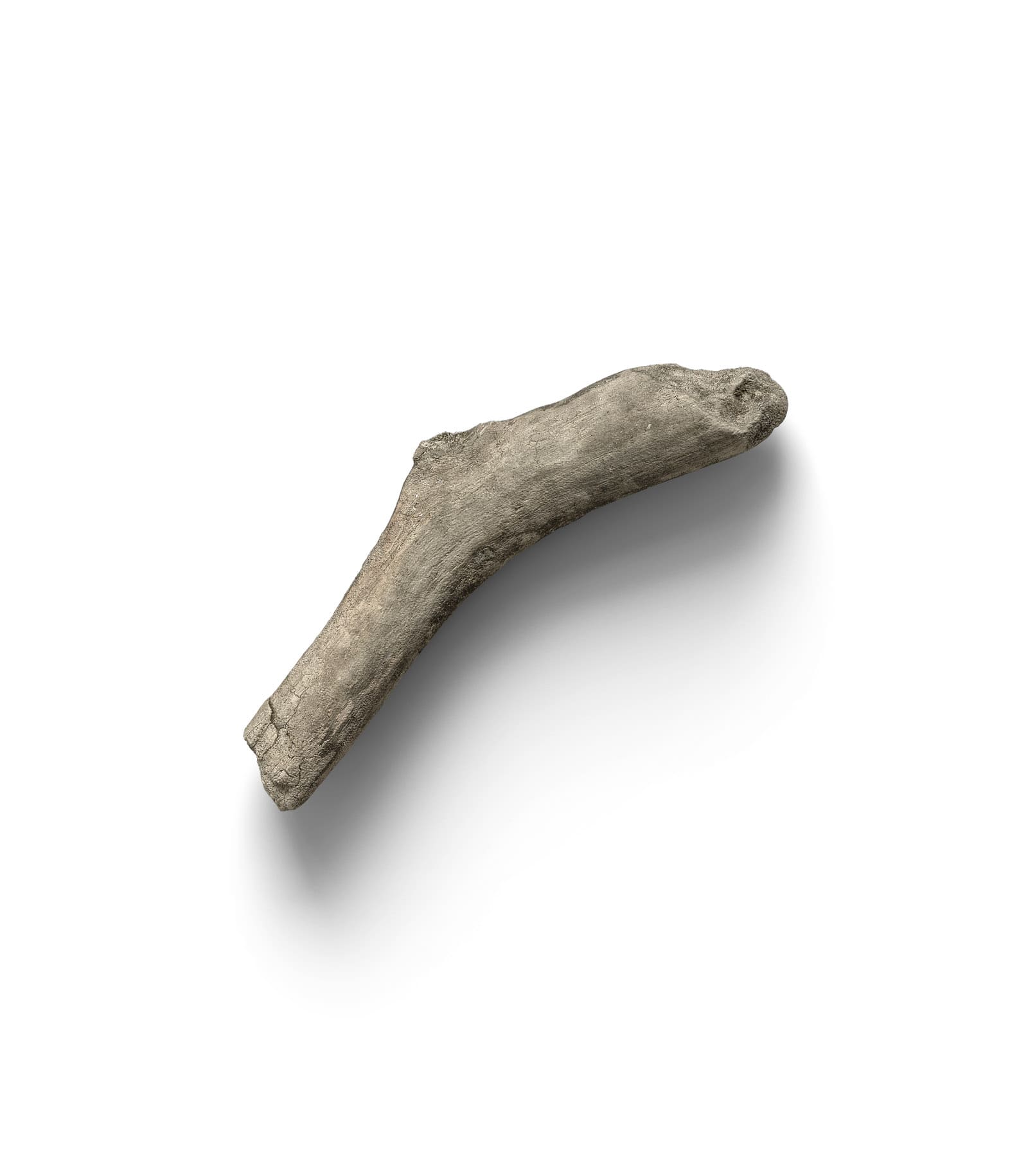 Mockup branch top v4 Mockup Branch Top V4