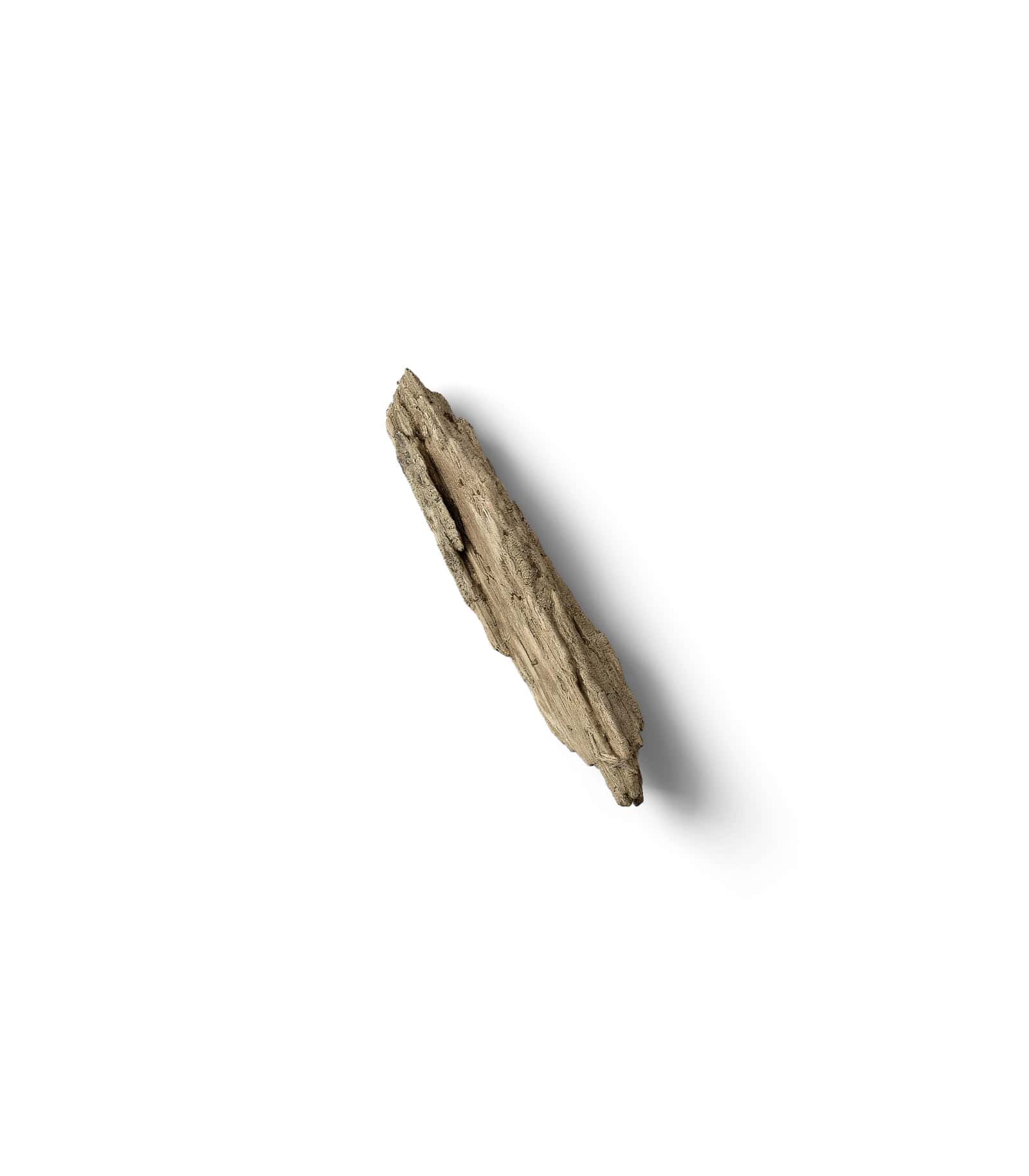 Mockup branch top v8 Mockup Branch Top V8