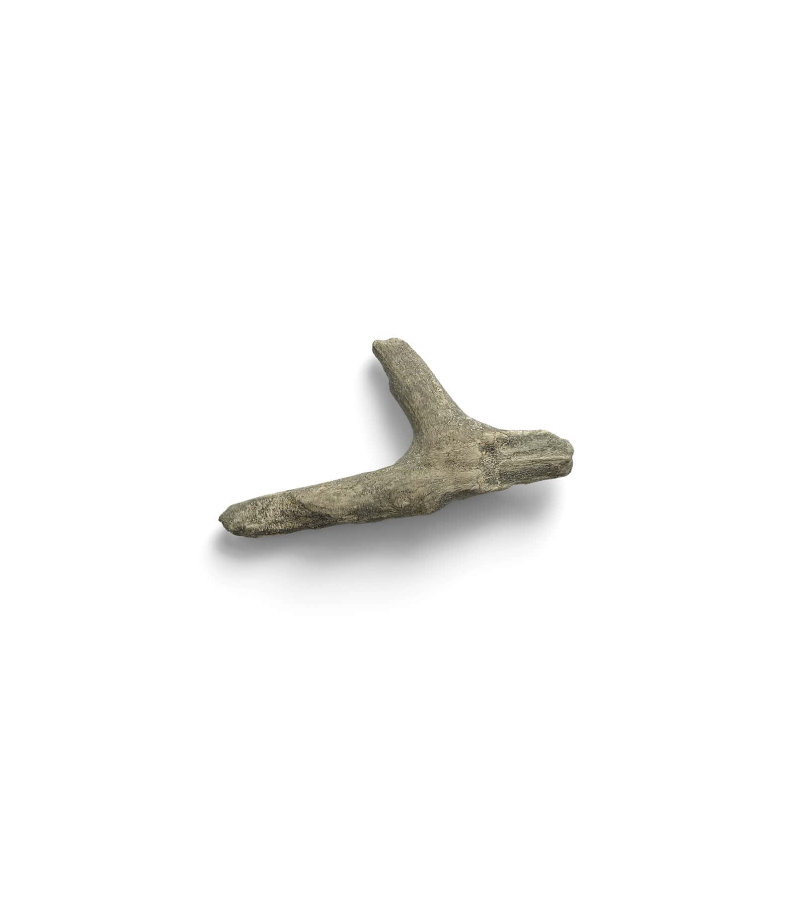 Mockup branch top v9 Mockup Branch Top V9