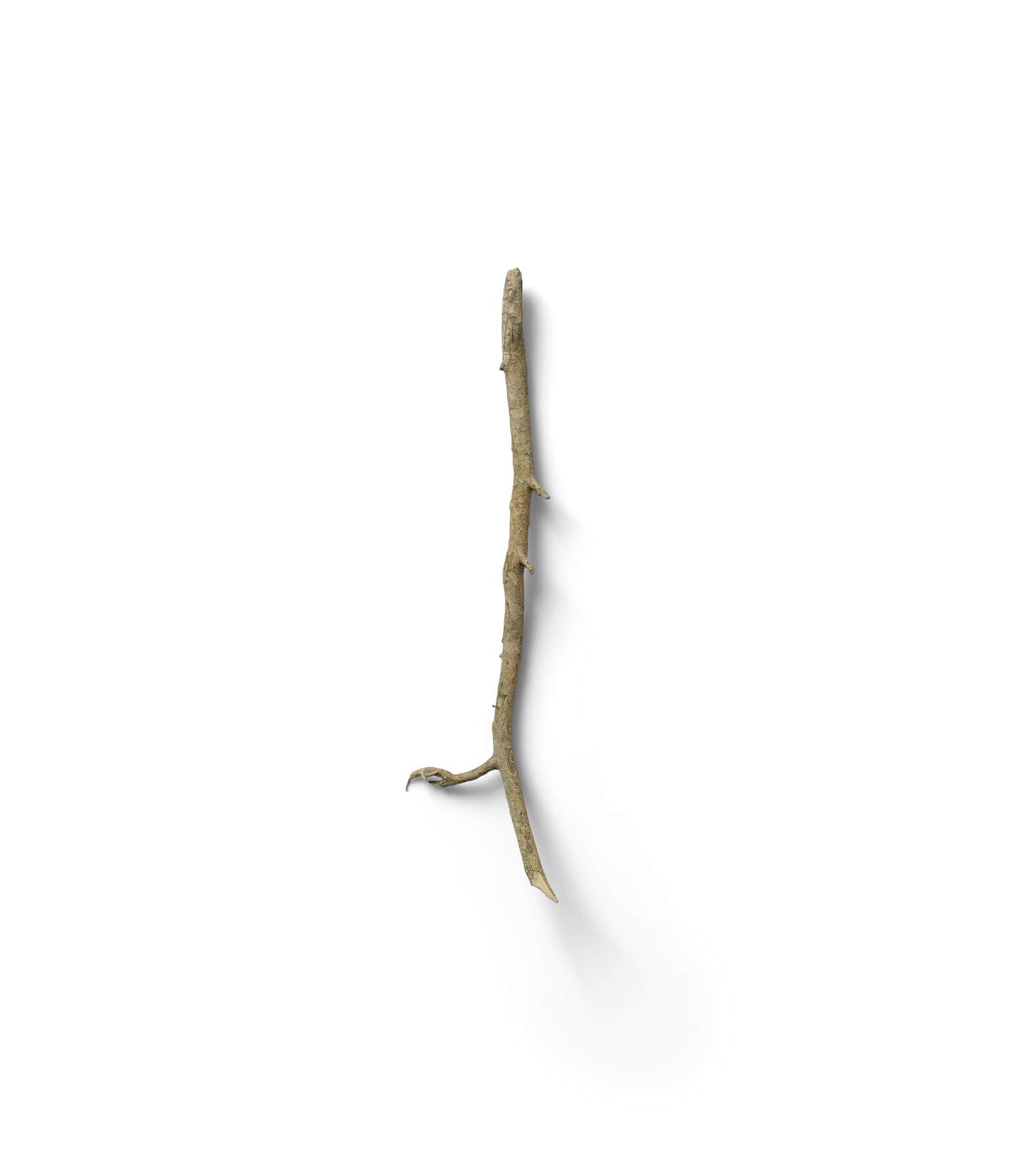 Mockup branch v13 top Mockup Branch V13 Top