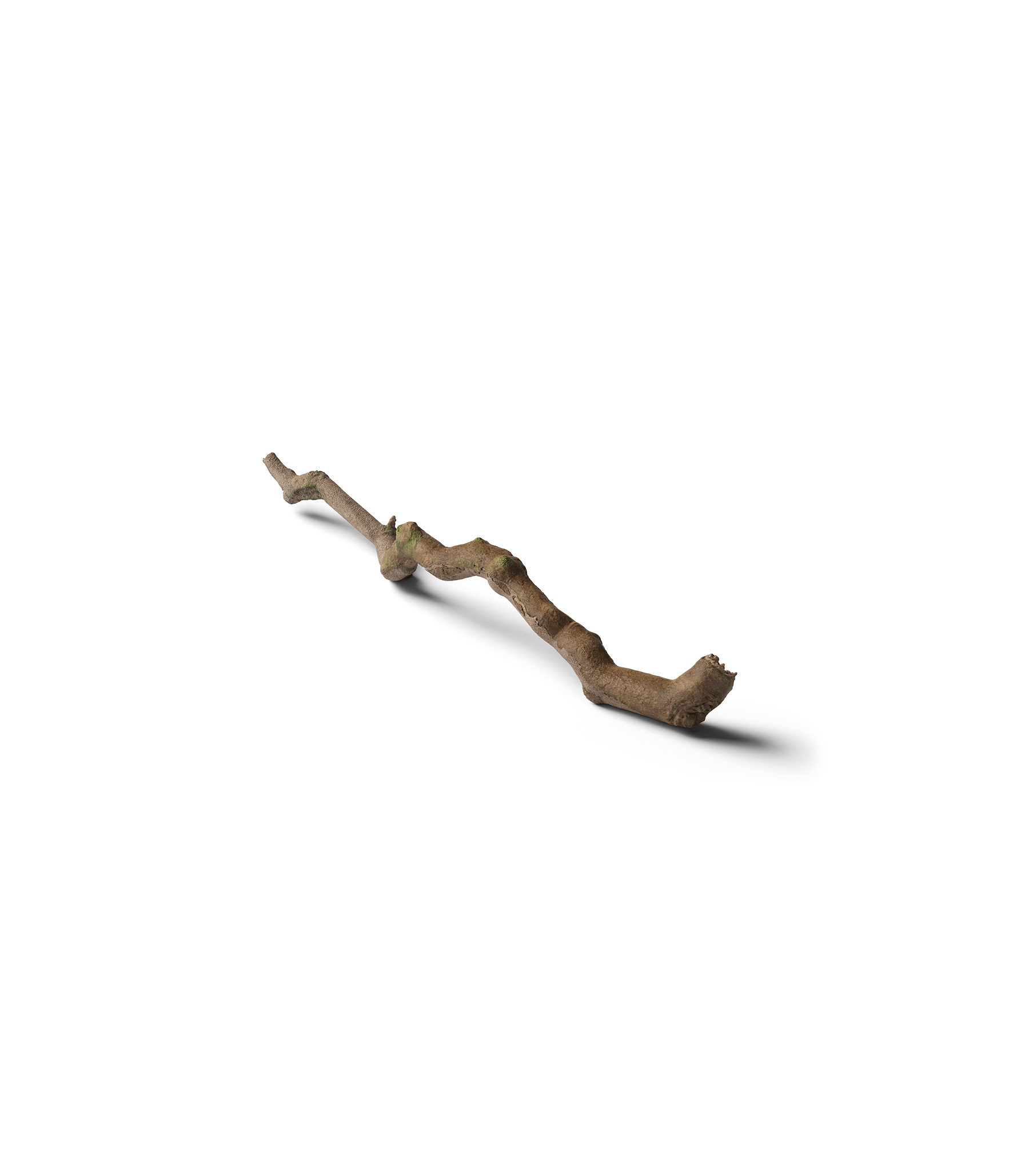 Mockup branch v15 isometric Mockup Branch V15 Isometric