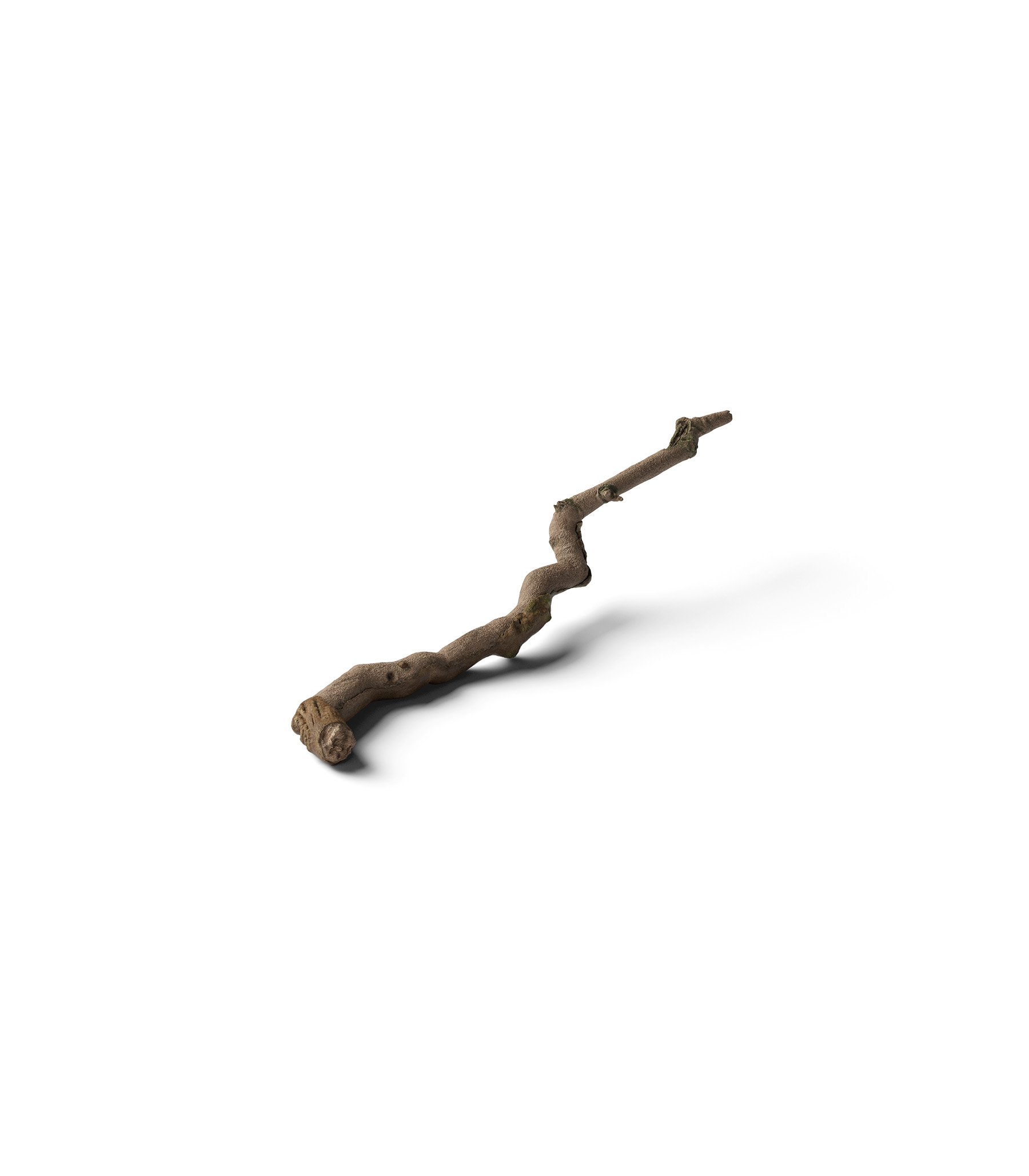 Mockup branch v16 isometric Mockup Branch V16 Isometric