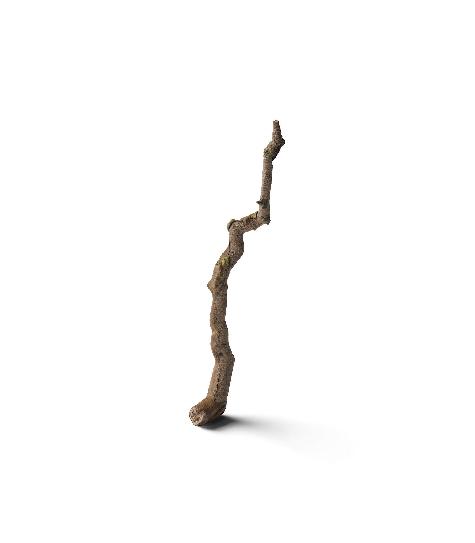 Mockup branch v18 isometric Mockup Branch V18 Isometric