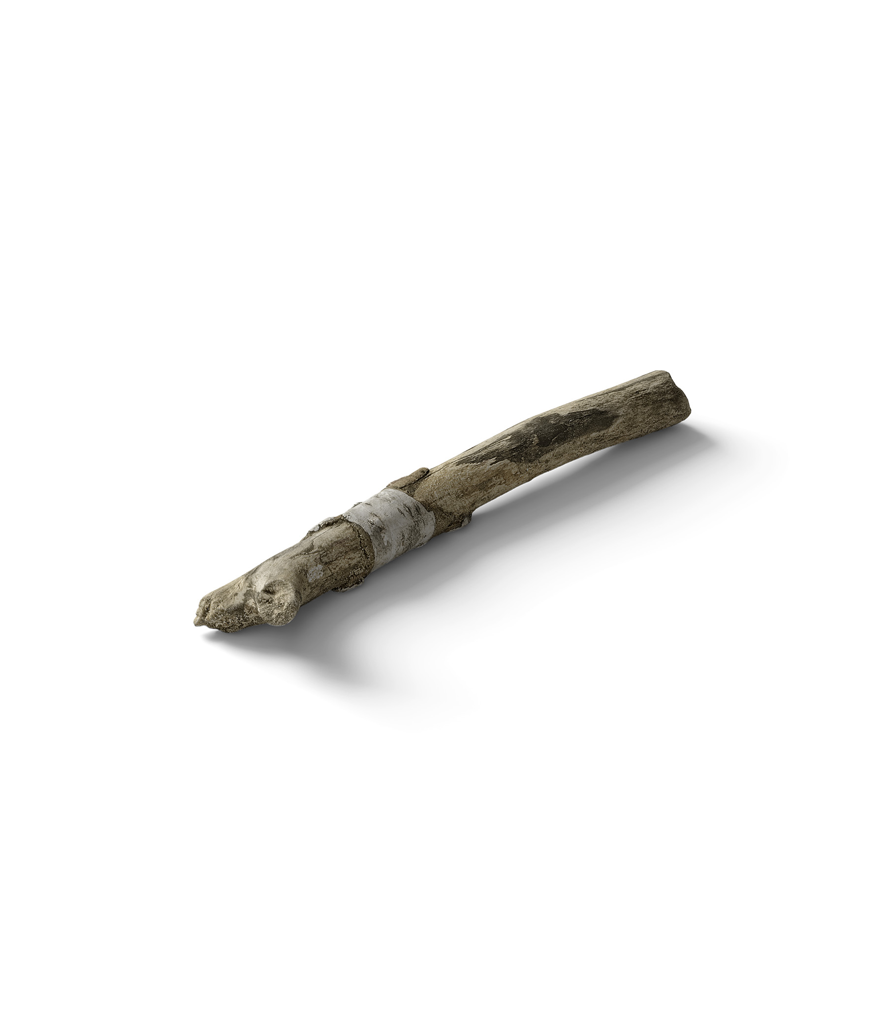 Mockup branch v4 isometric Mockup Branch V4 Isometric