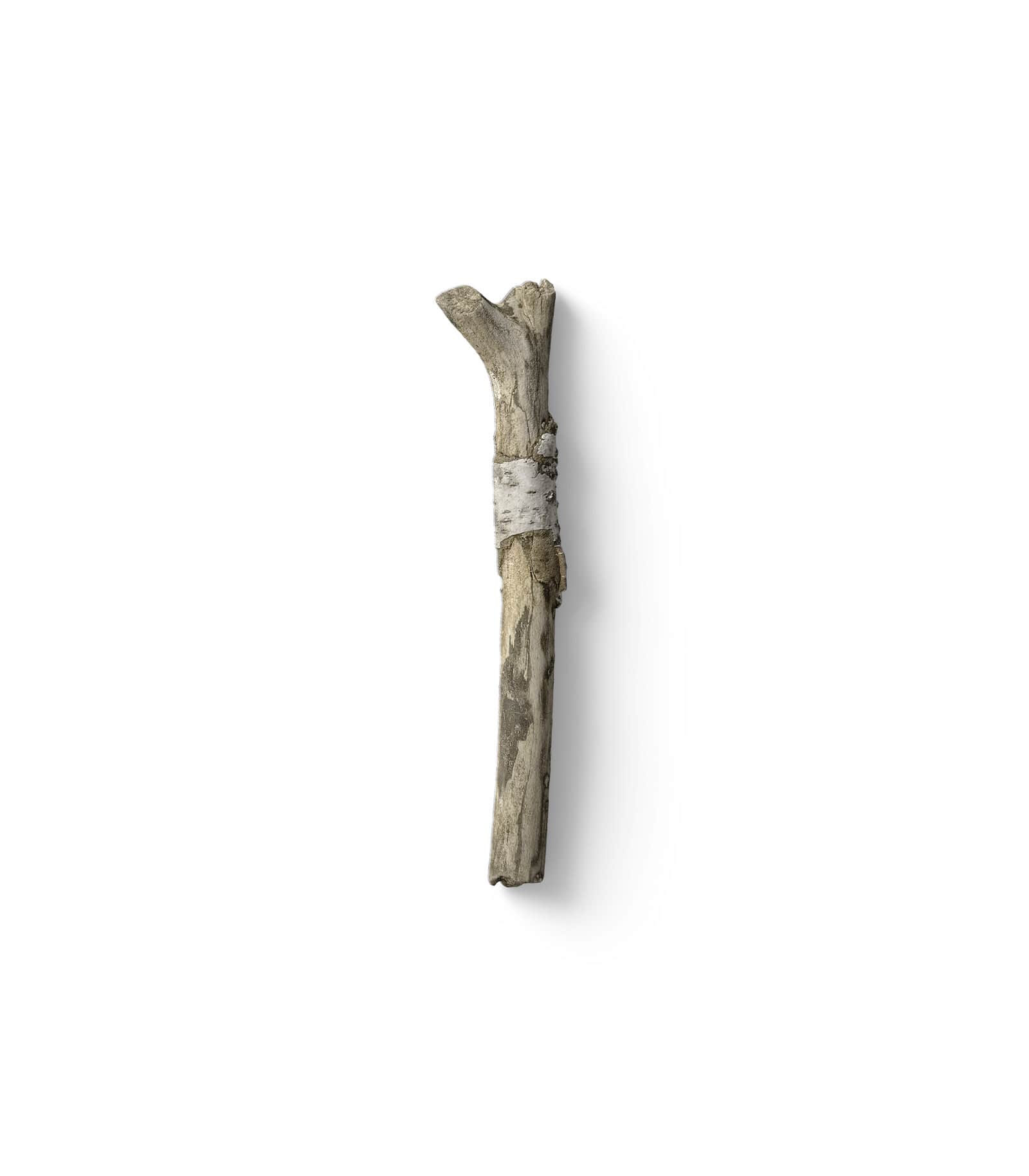 Mockup branch v4 top Mockup Branch V4 Top