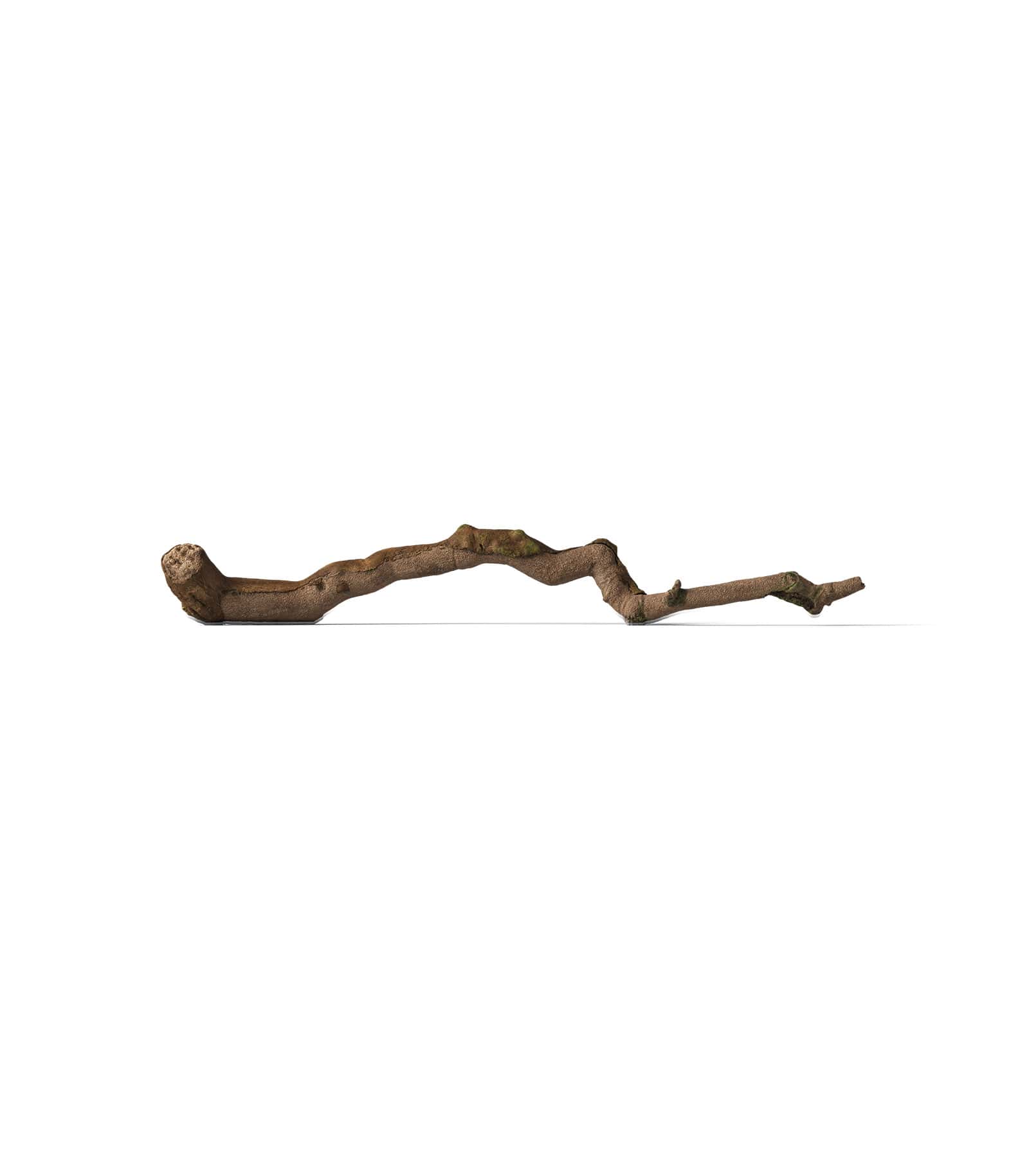 Mockup branch v6 front Mockup Branch V6 Front