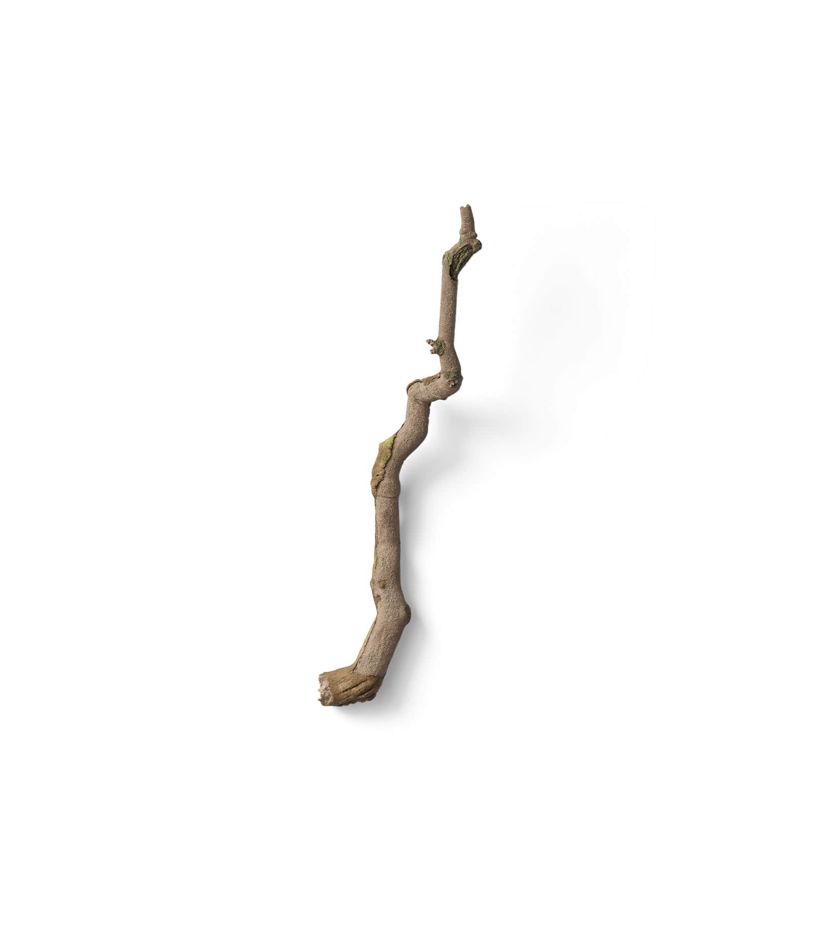Mockup branch v6 top Mockup Branch V6 Top