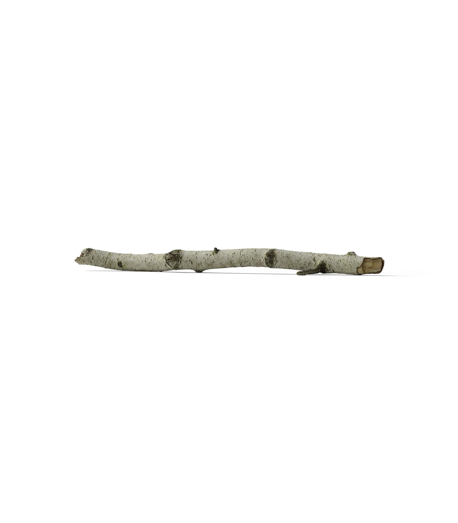 Mockup branch v7 front Mockup Branch V7 Front