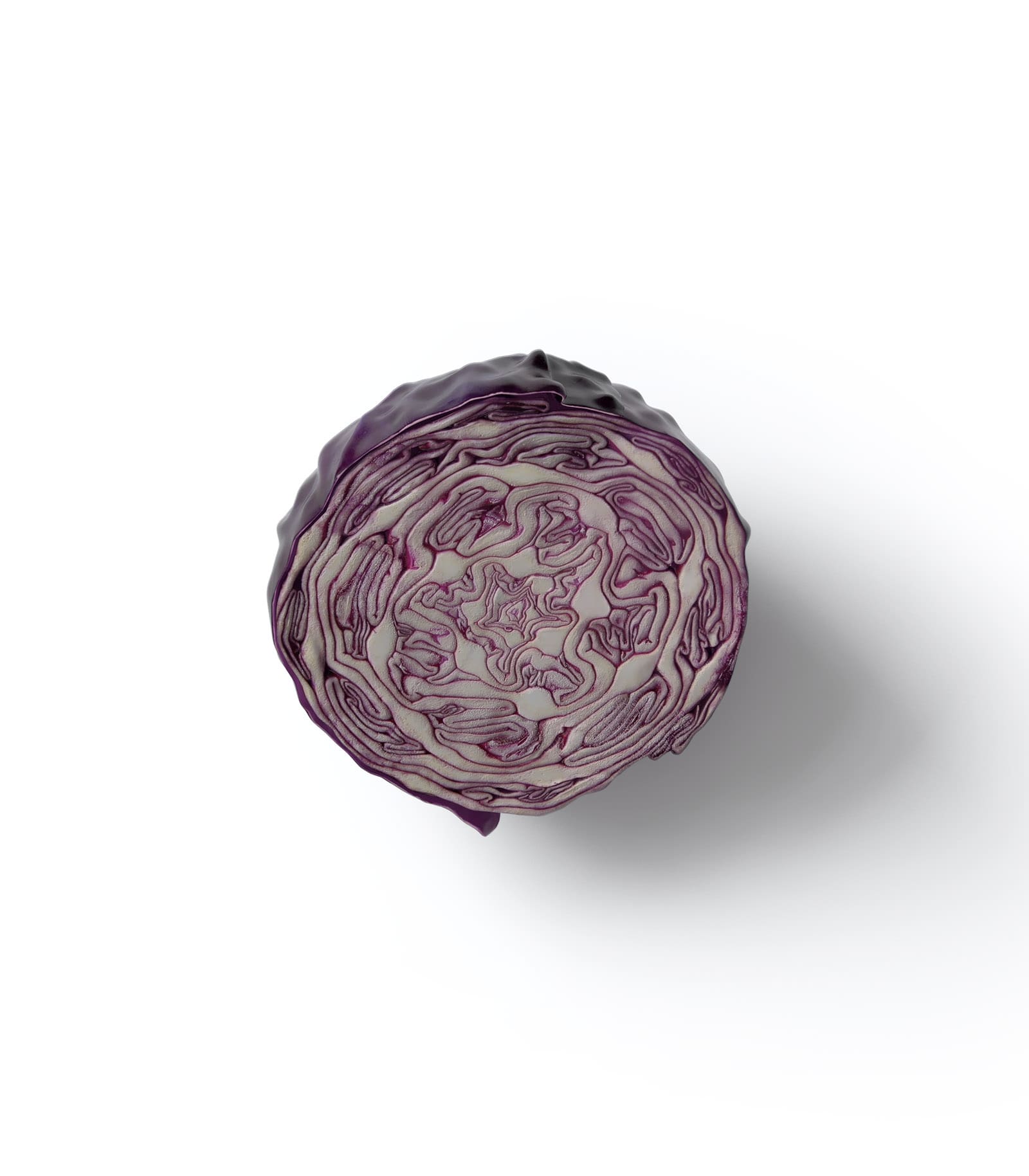 Mockup cabbage top Mockup Cabbage Top
