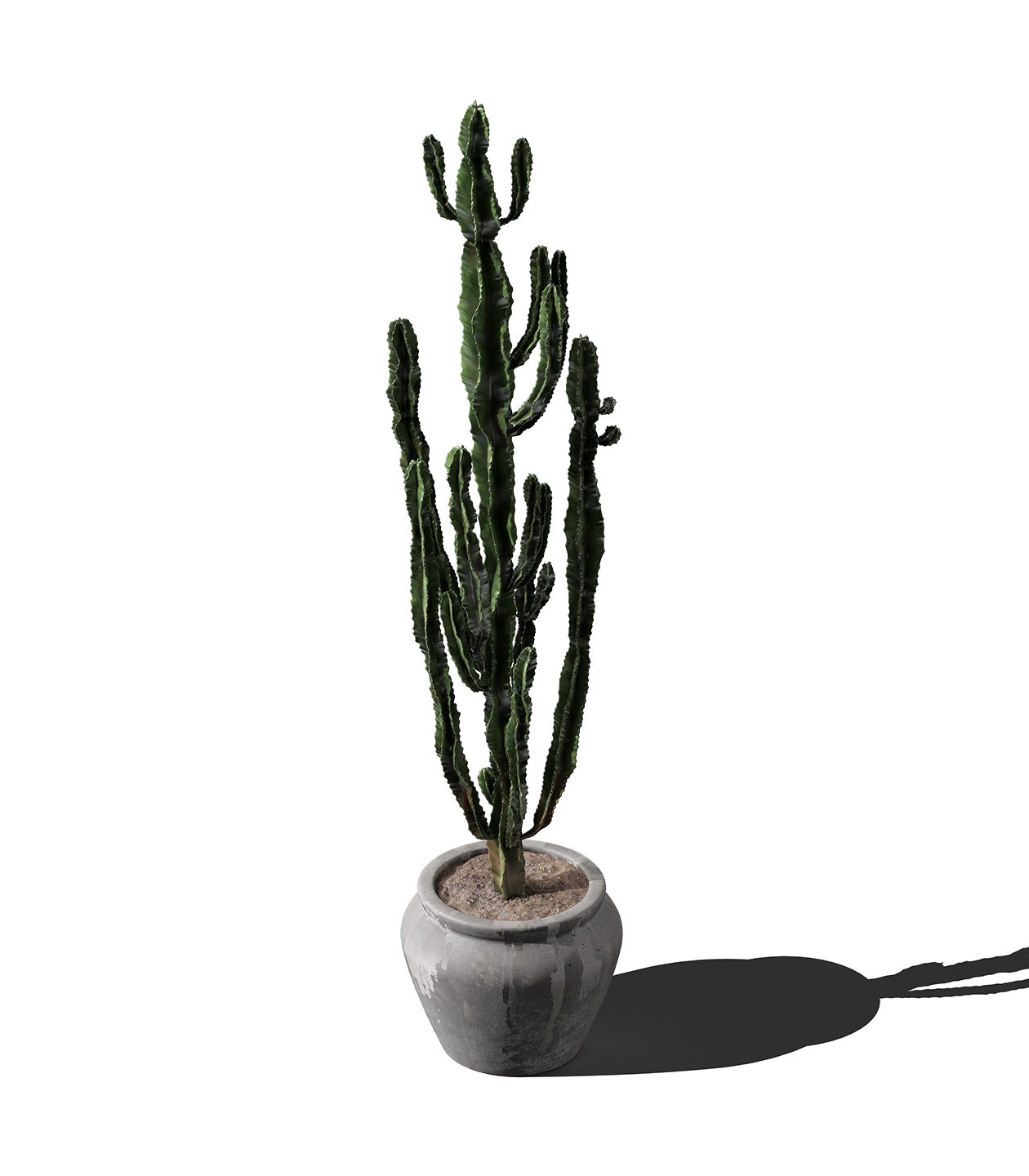 Mockup cactus in pot v3 isometric Mockup Cactus In Pot V3 Isometric