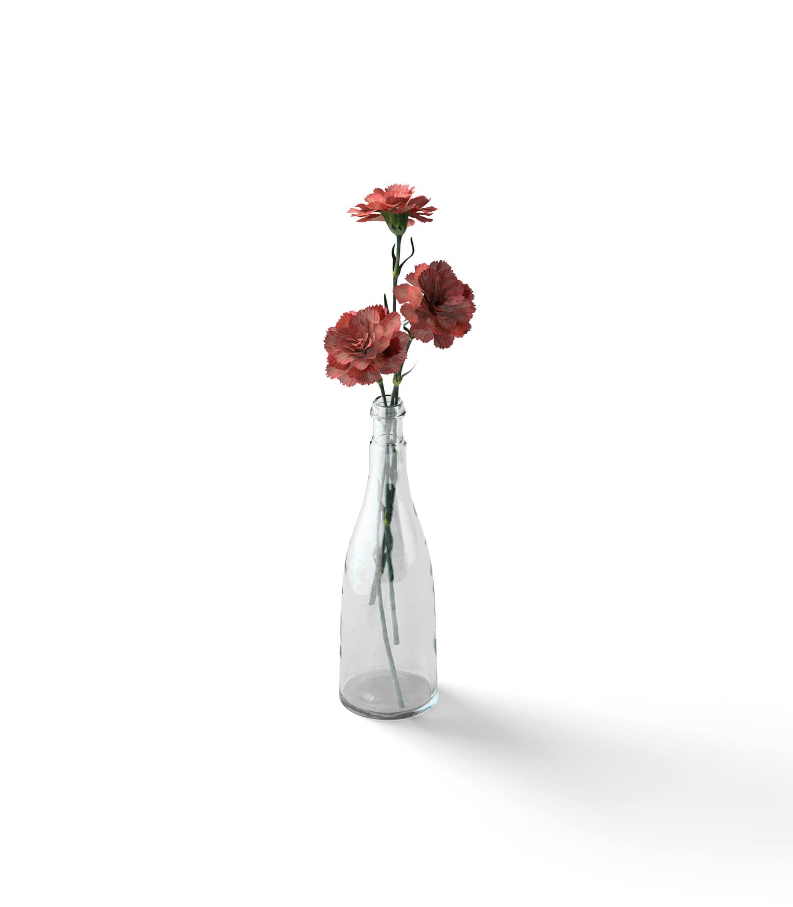 Mockup carnations in vase isometric Mockup Carnations In Vase Isometric