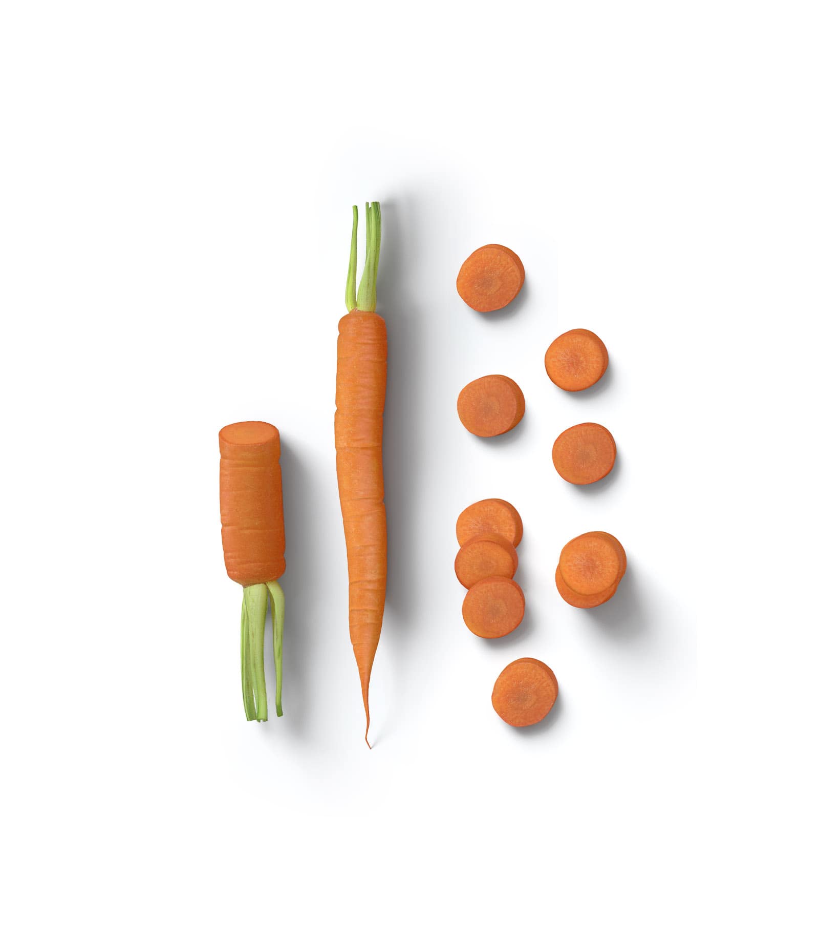 Mockup carrot v2 top Mockup Carrot V2 Top