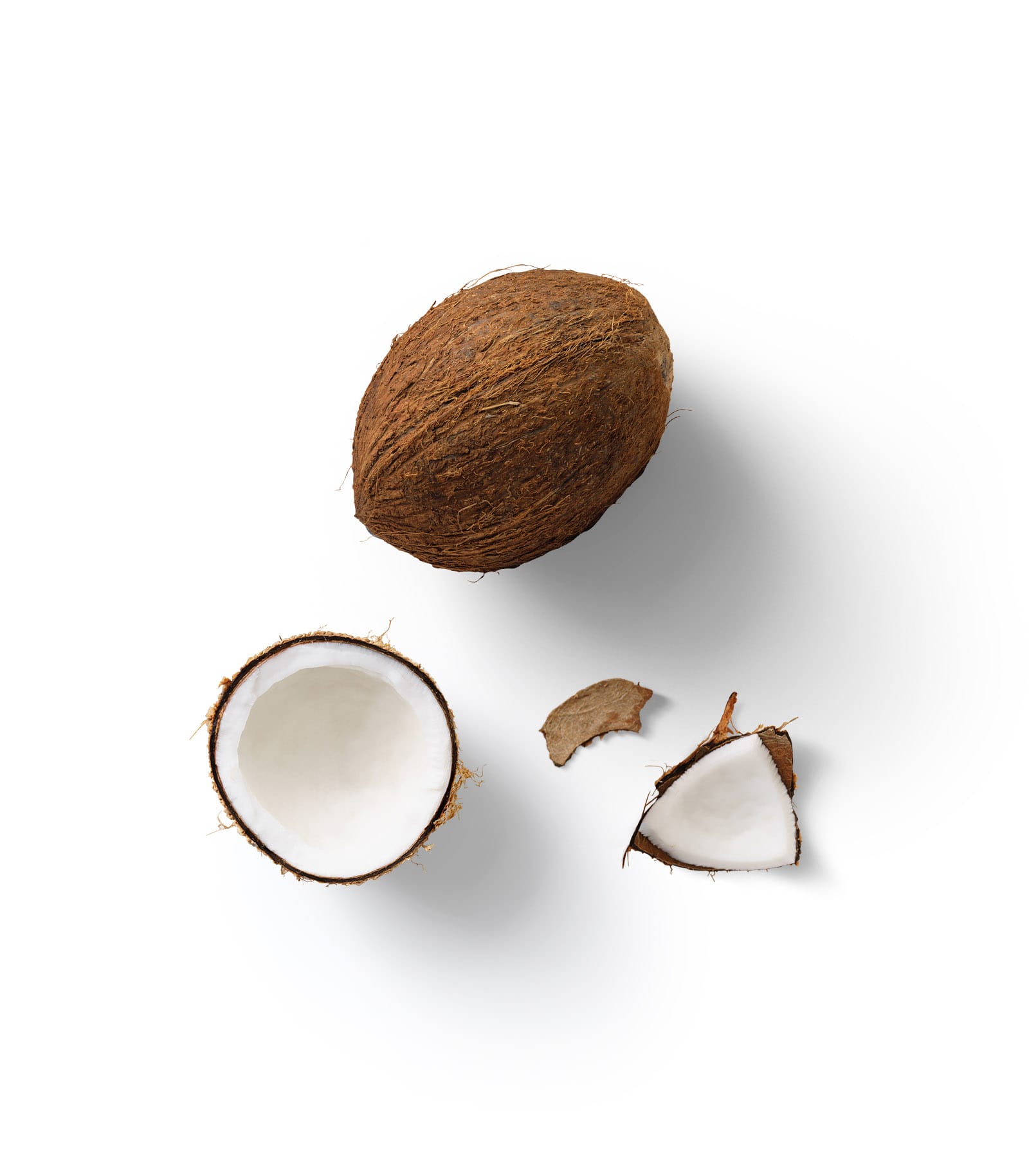Mockup coconut top Mockup Coconut Top