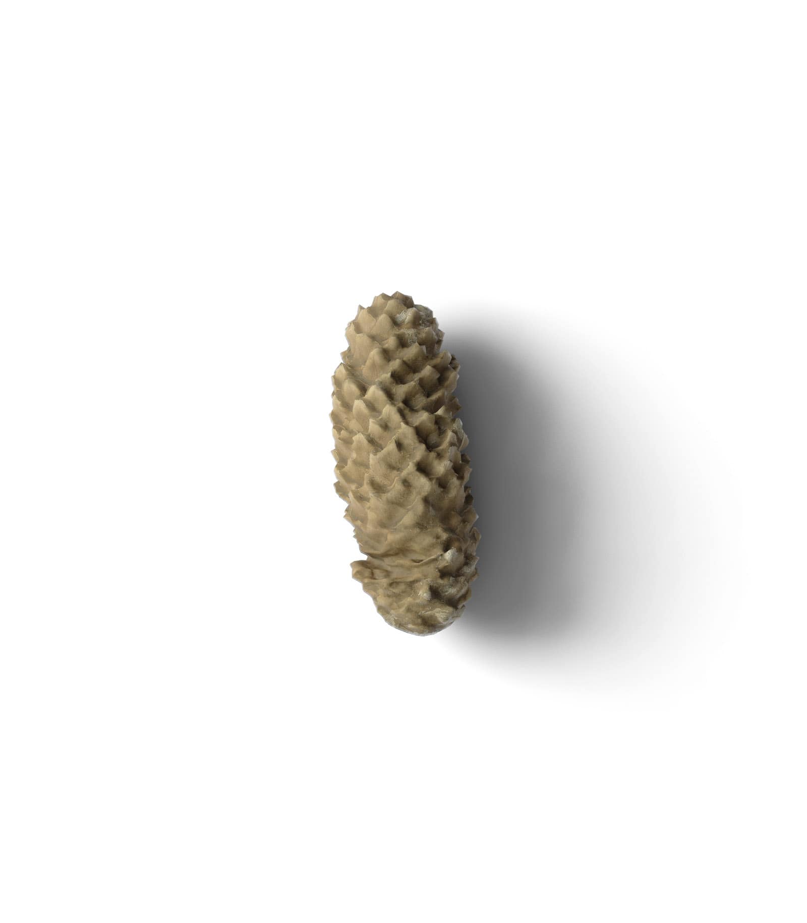 Mockup cone top v5 Mockup Cone Top V5