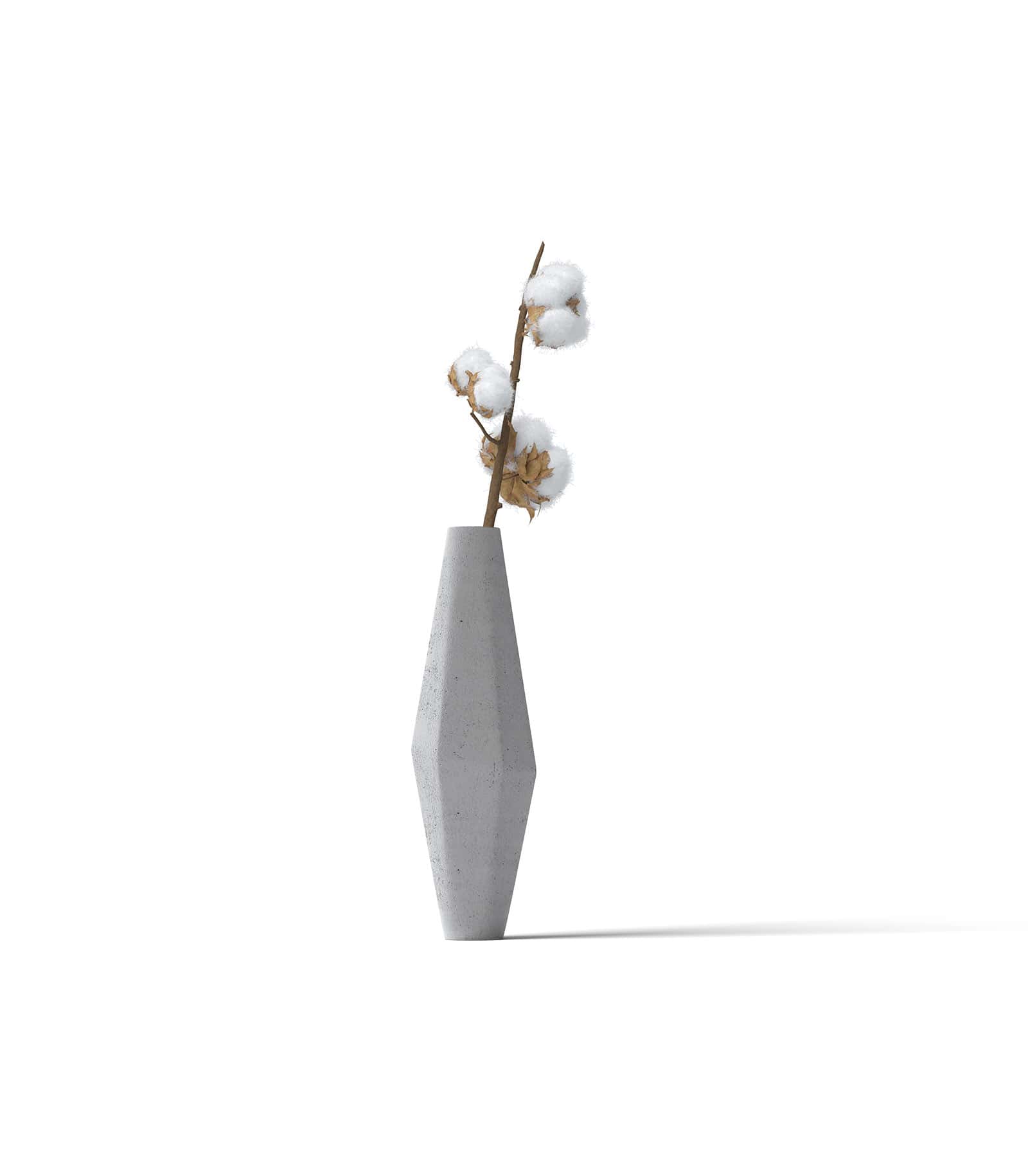 Mockup cotton in vase front Mockup Cotton In Vase Front