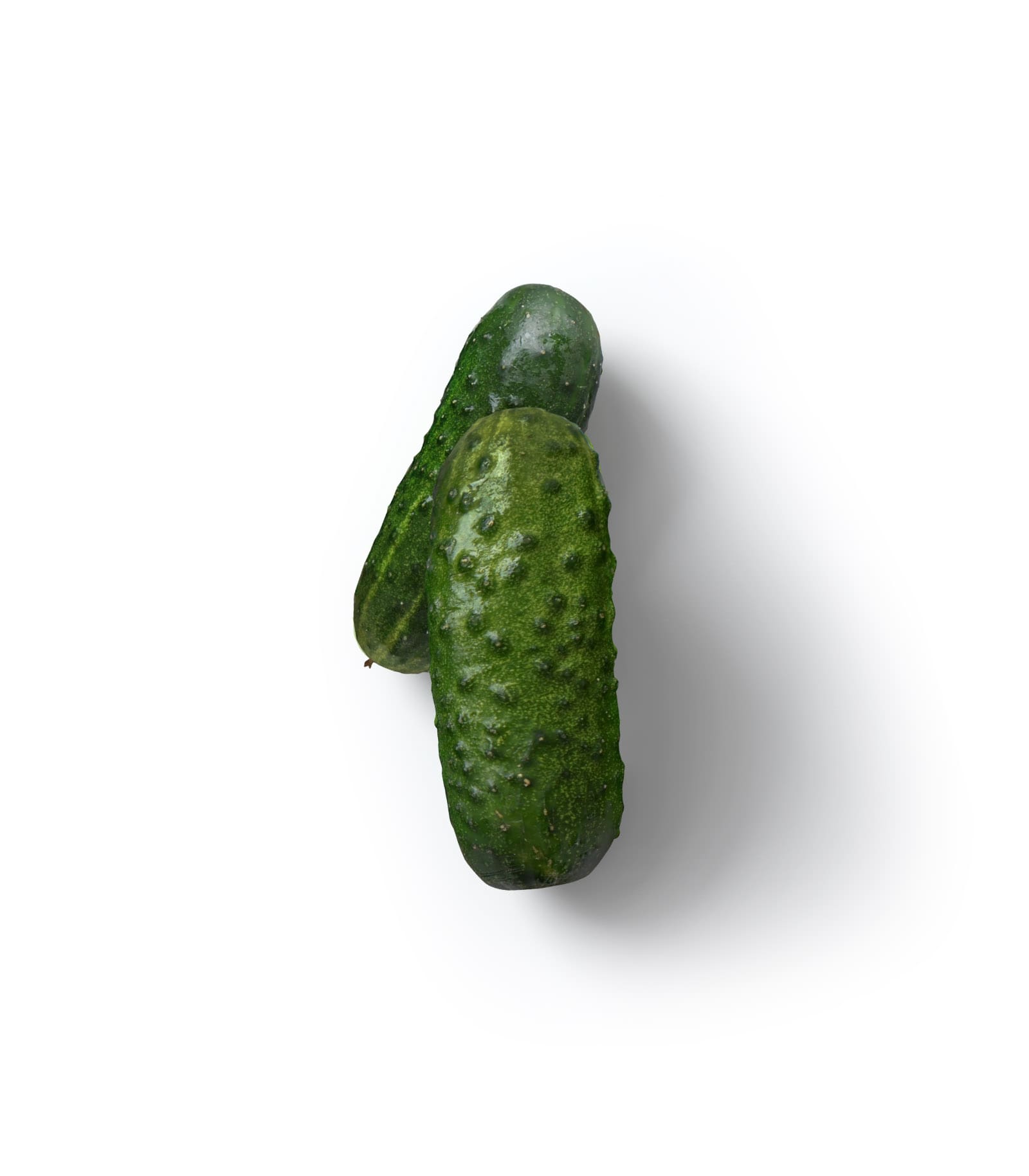 Mockup cucumber v2 top Mockup Cucumber V2 Top