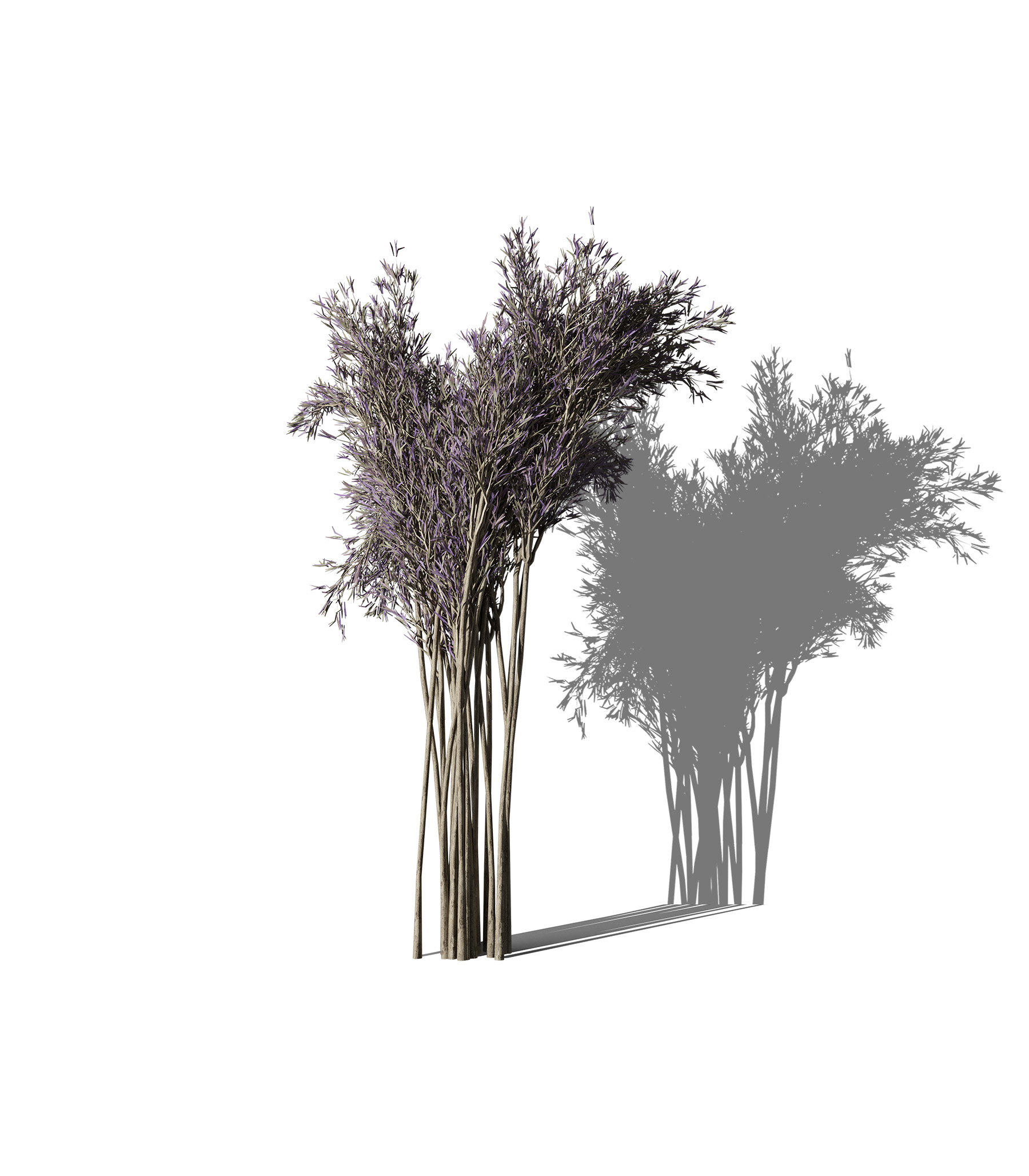 Mockup decorative plant v44 front view Mockup Decorative Plant V44 Front View