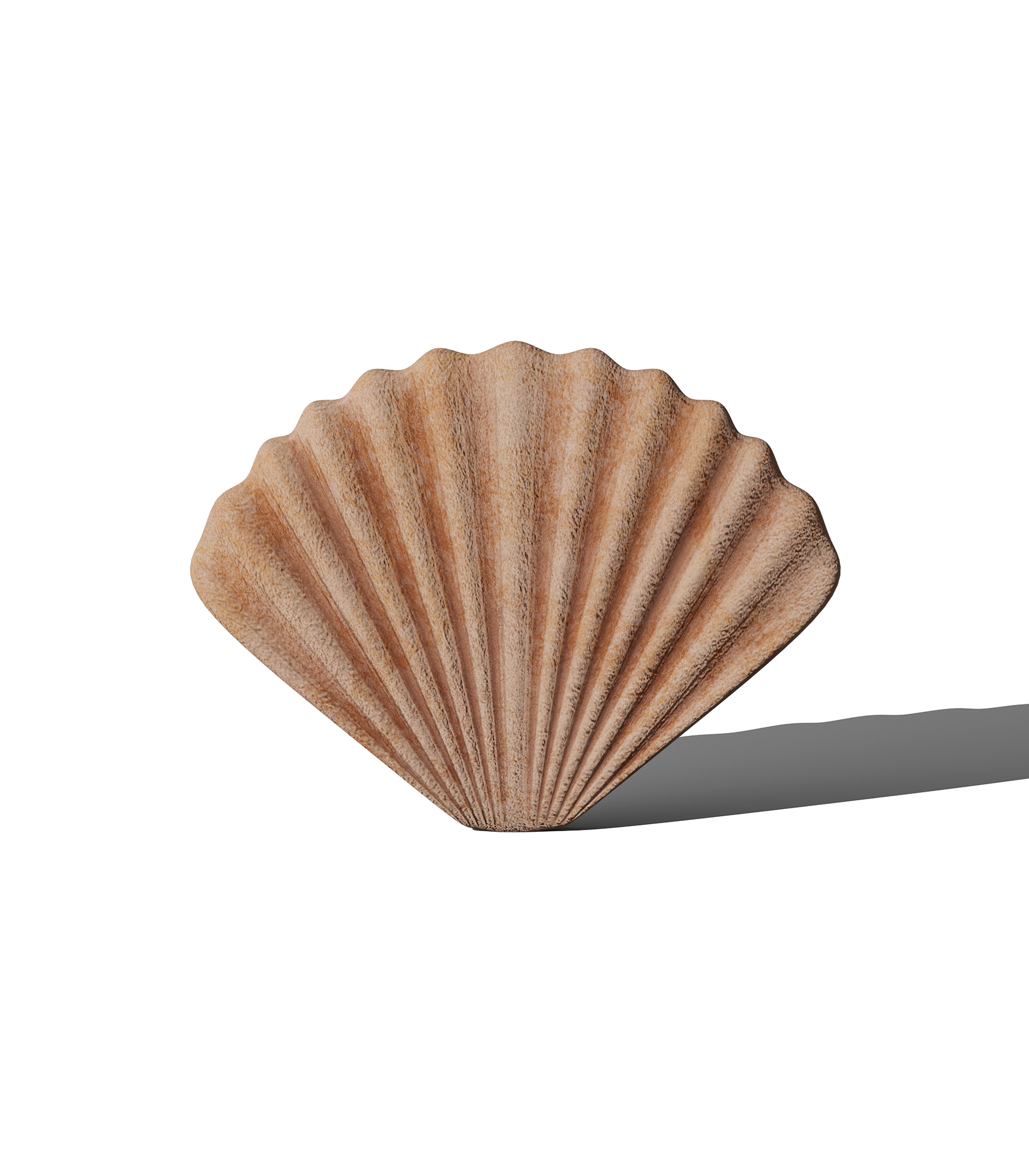 Mockup decorative shell v1 front view Mockup Decorative Shell V1 Front View