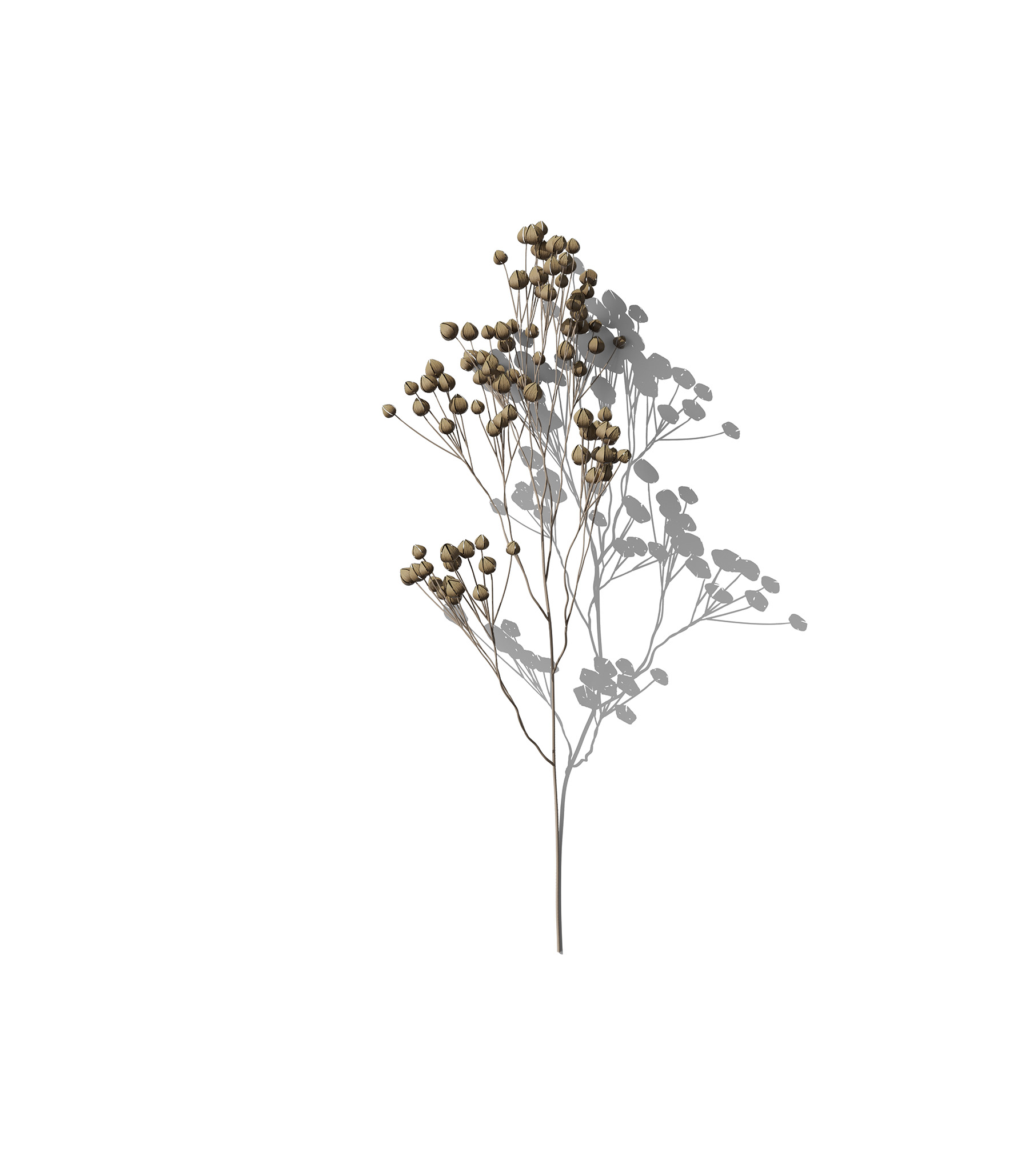 Mockup dried plant v3 front view Mockup Dried Plant V3 Front View