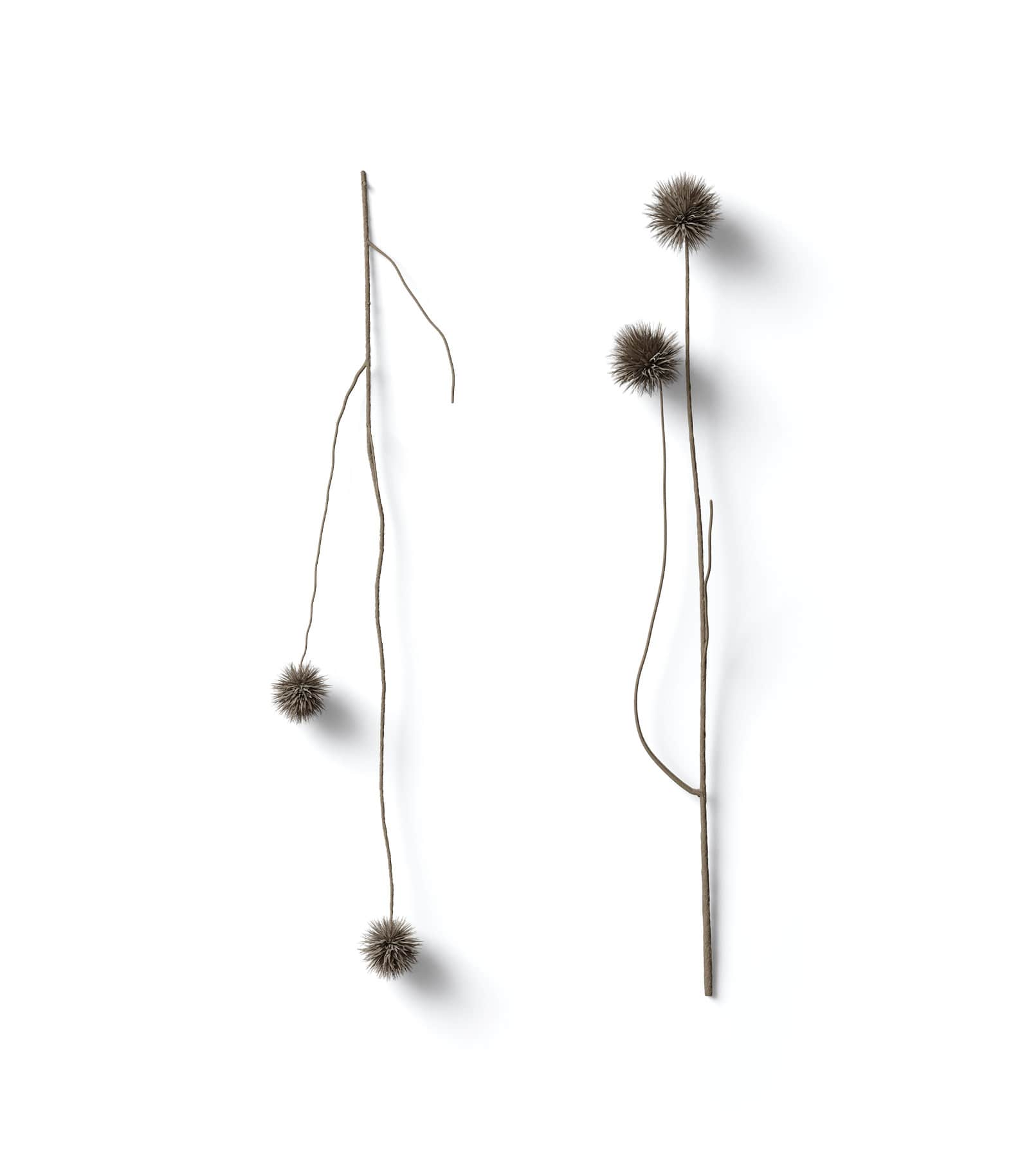 Mockup dry branch top Mockup Dry Branch Top