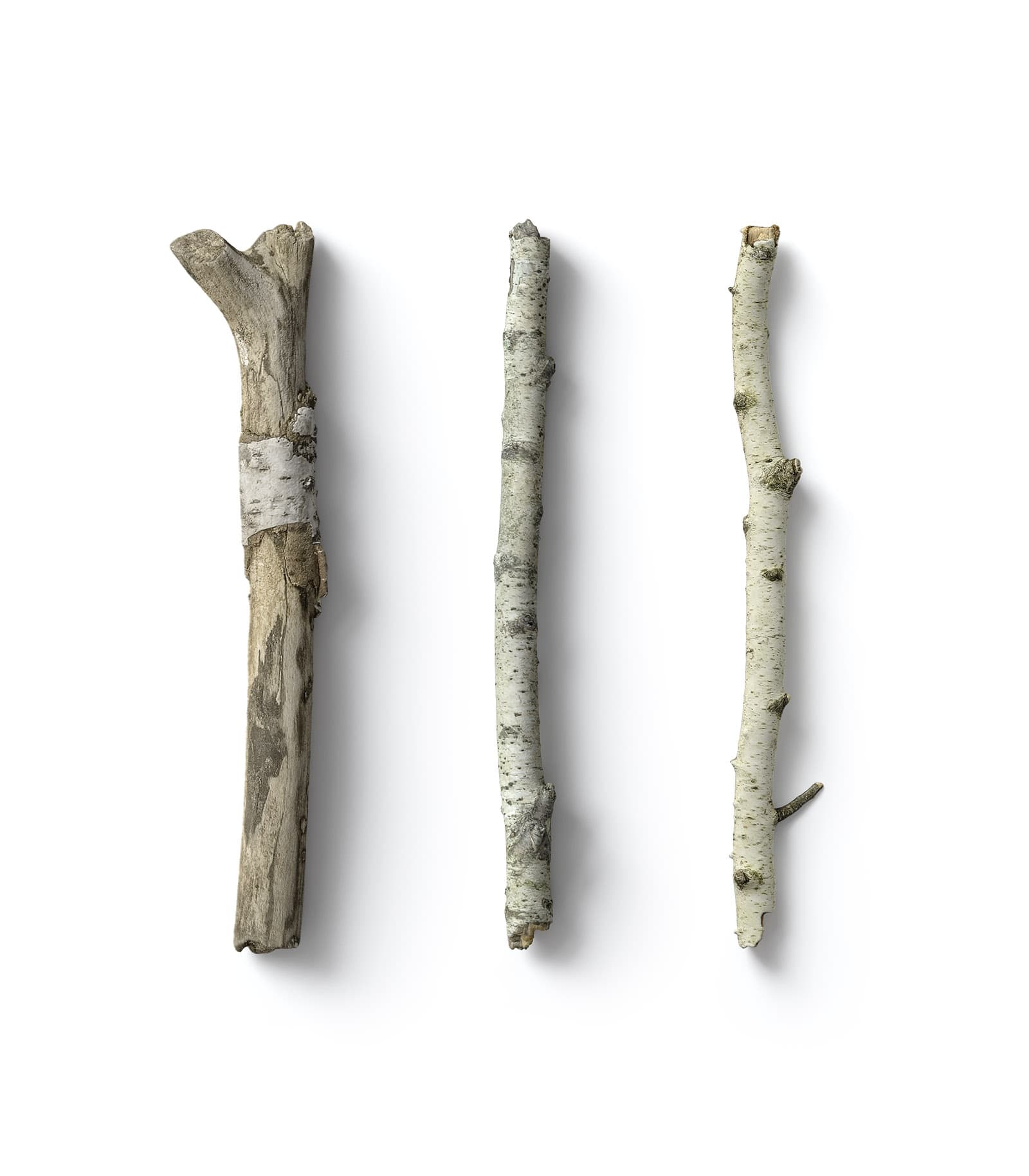 Mockup dry branch v5 top Mockup Dry Branch V5 Top