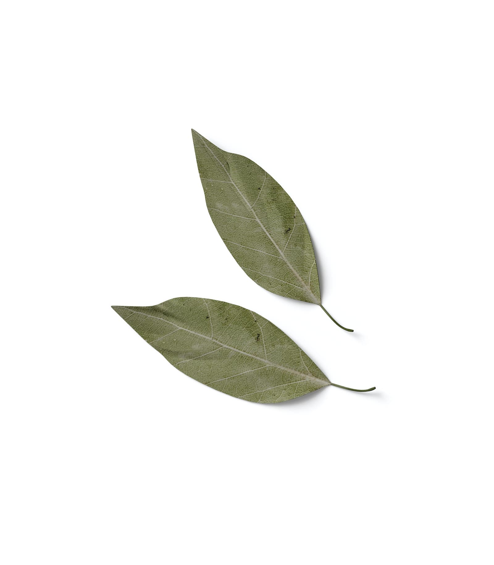 Mockup dry leaves top Mockup Dry Leaves Top