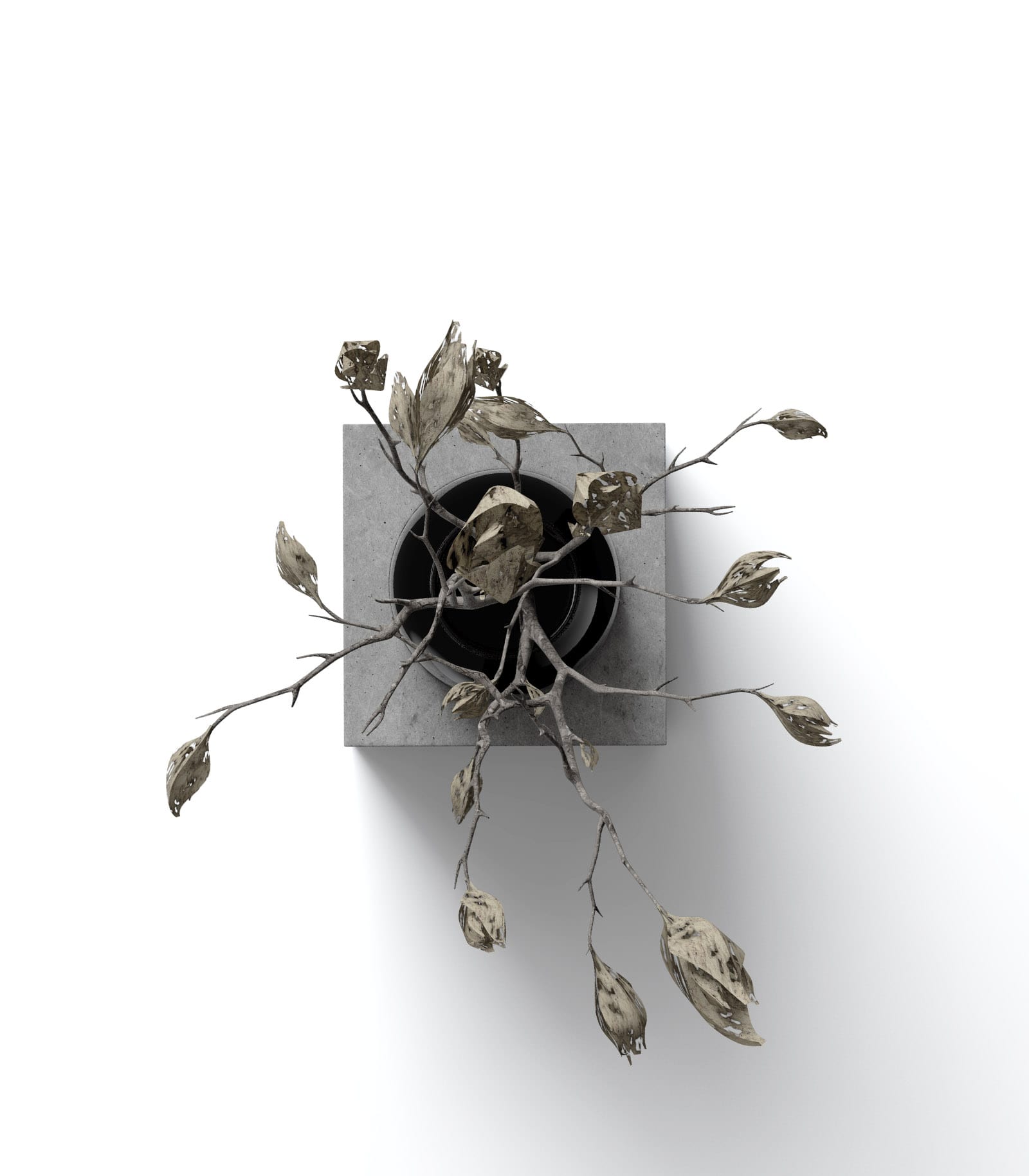 Mockup dry plant on vase top Mockup Dry Plant On Vase Top