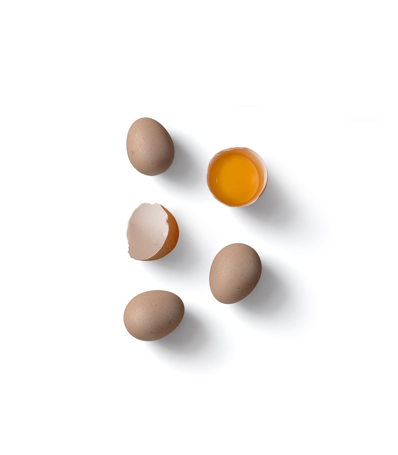 Mockup eggs top Mockup Eggs Top