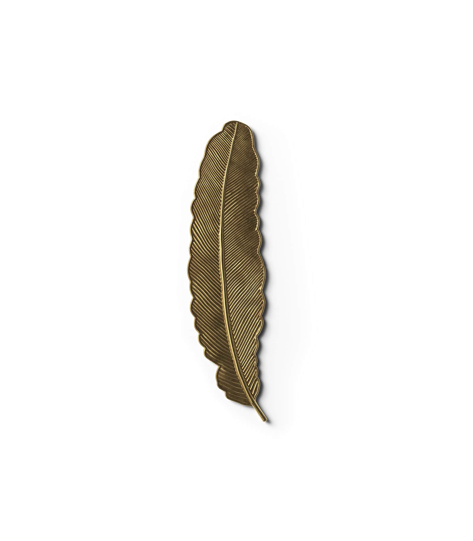 Mockup feather v1 top Mockup Feather V1 Top