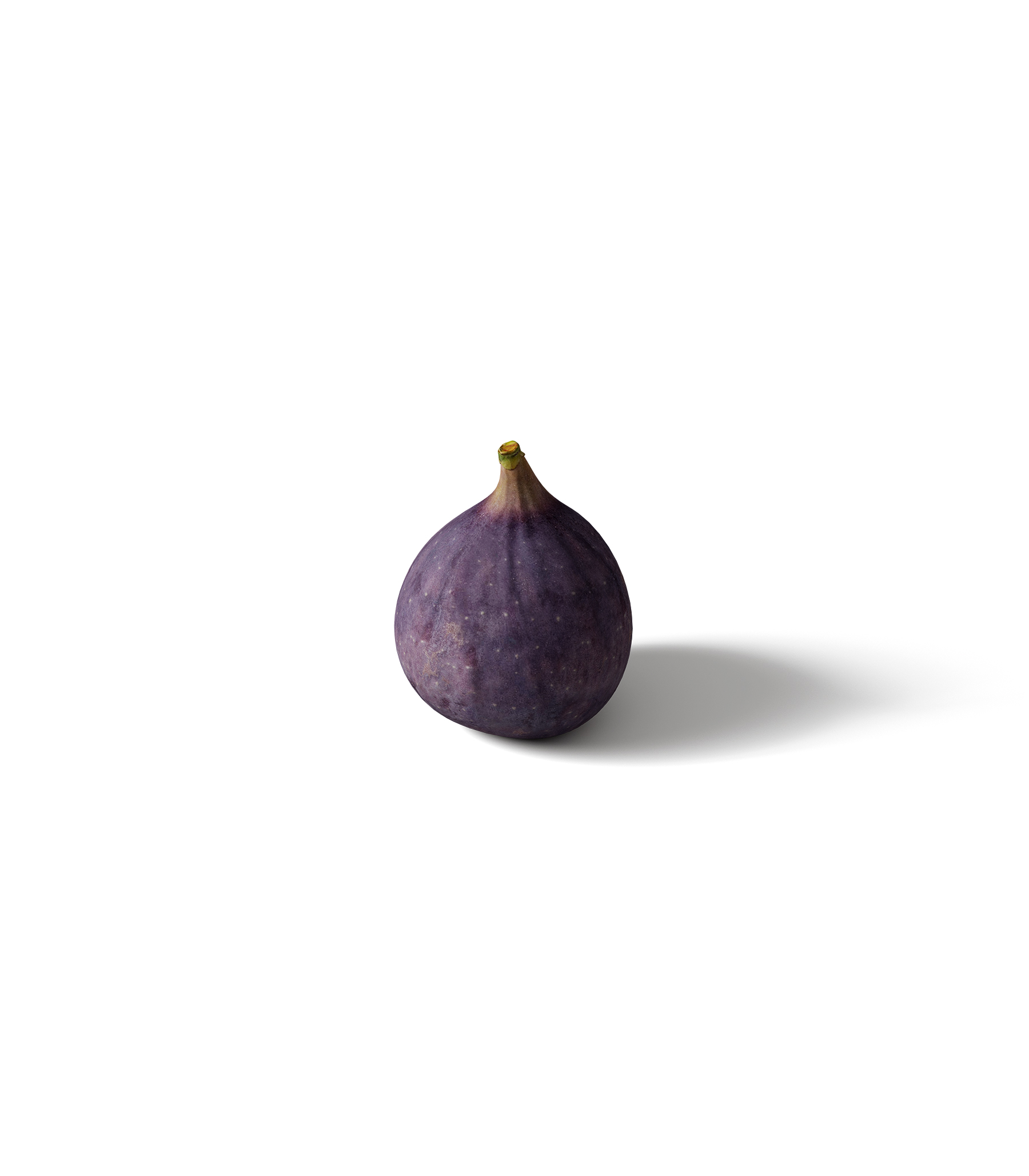 Mockup figs v2 isometric Mockup Figs V2 Isometric