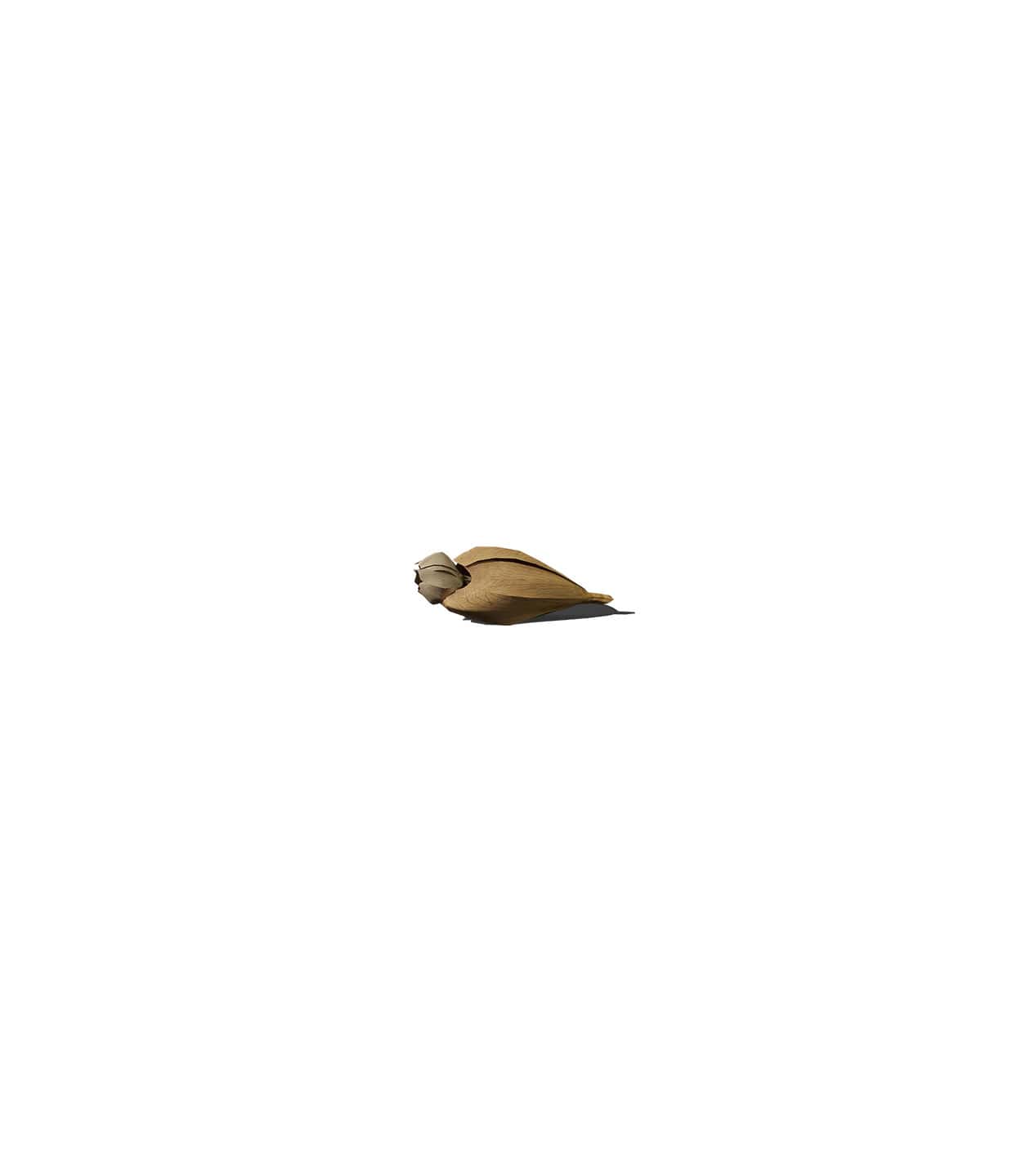 Mockup flower bud v3 front Mockup Flower Bud V3 Front