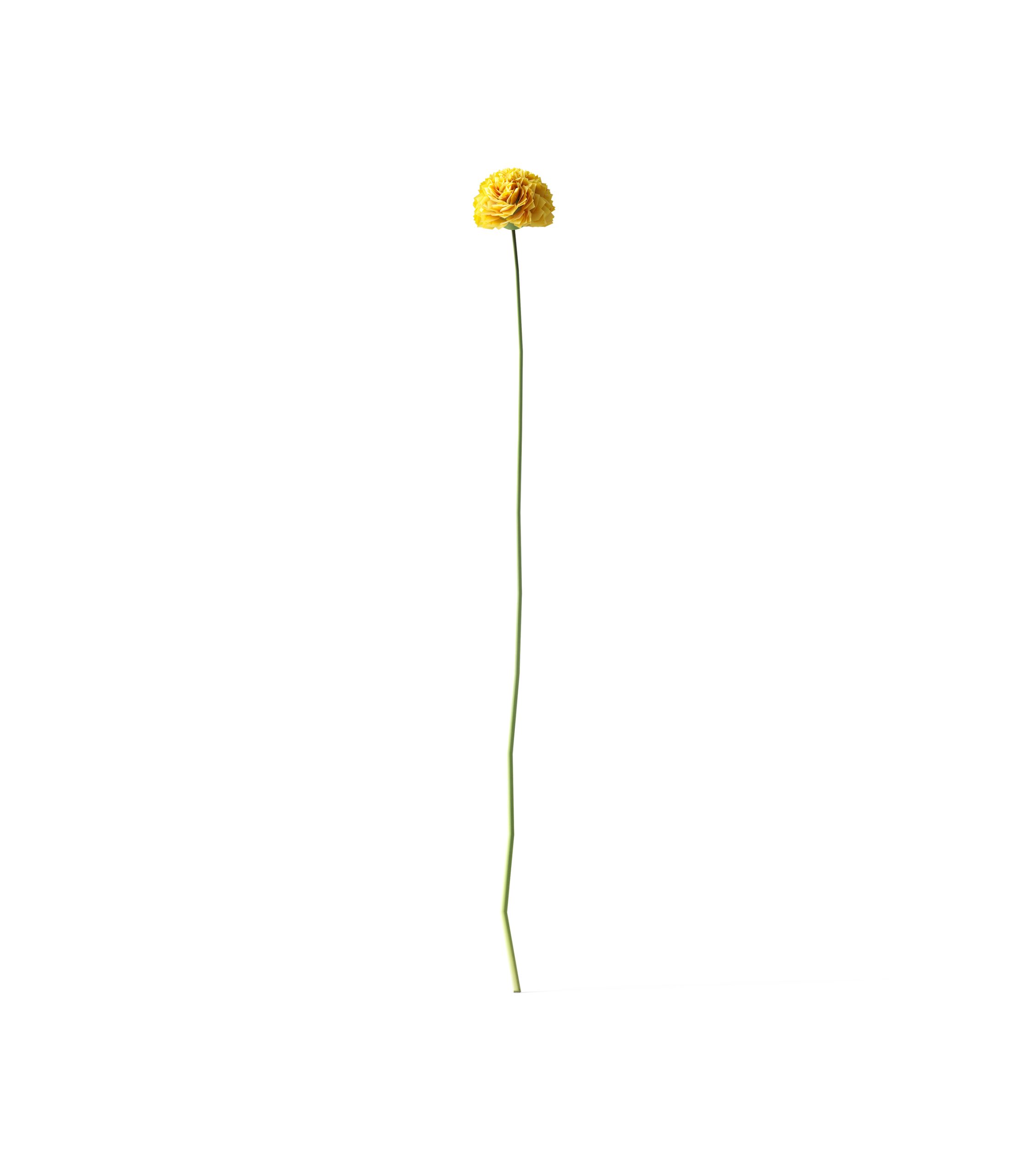 Mockup flower v7 front view Mockup Flower V7 Front View