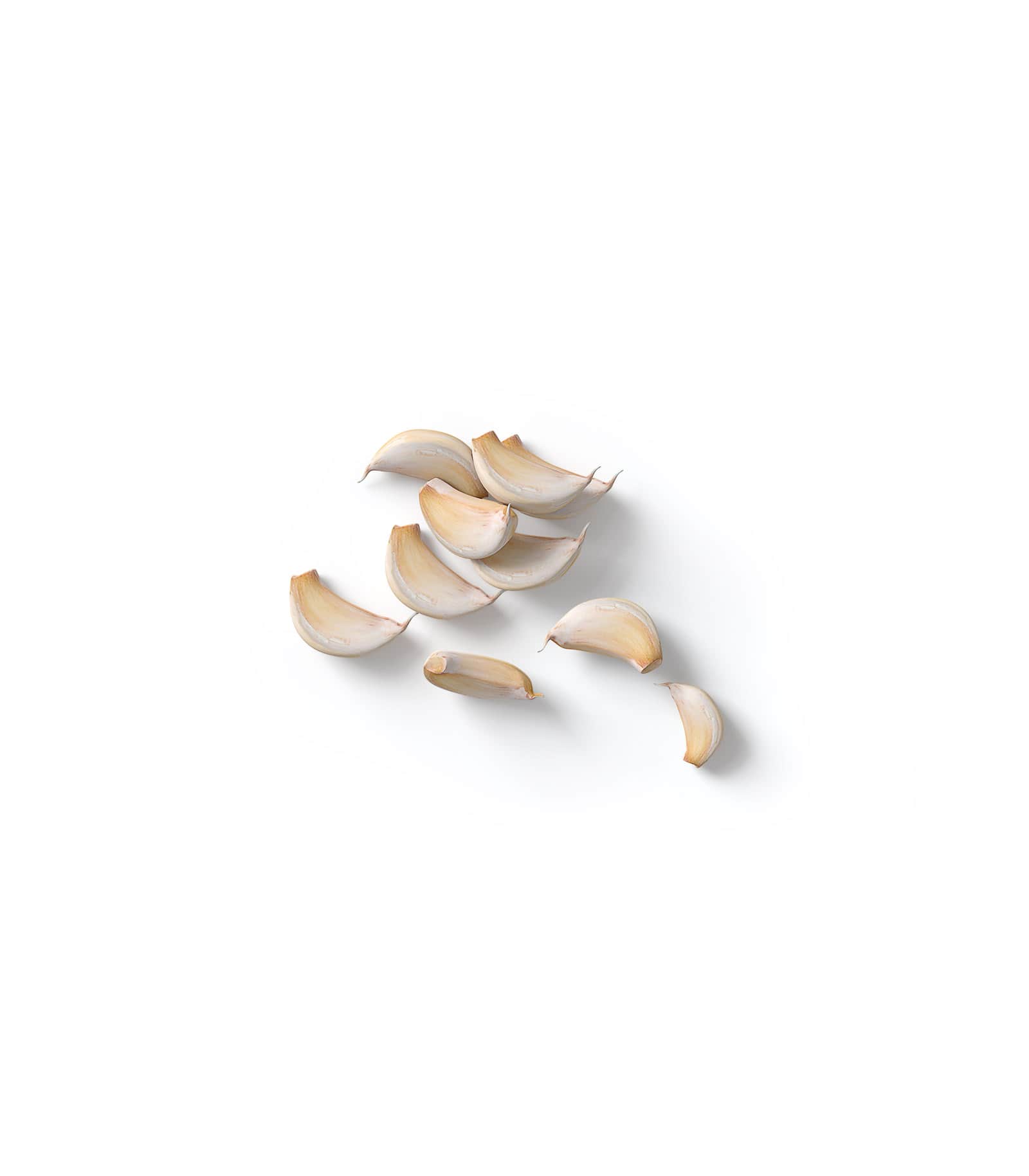 Mockup garlic v1 top Mockup Garlic V1 Top