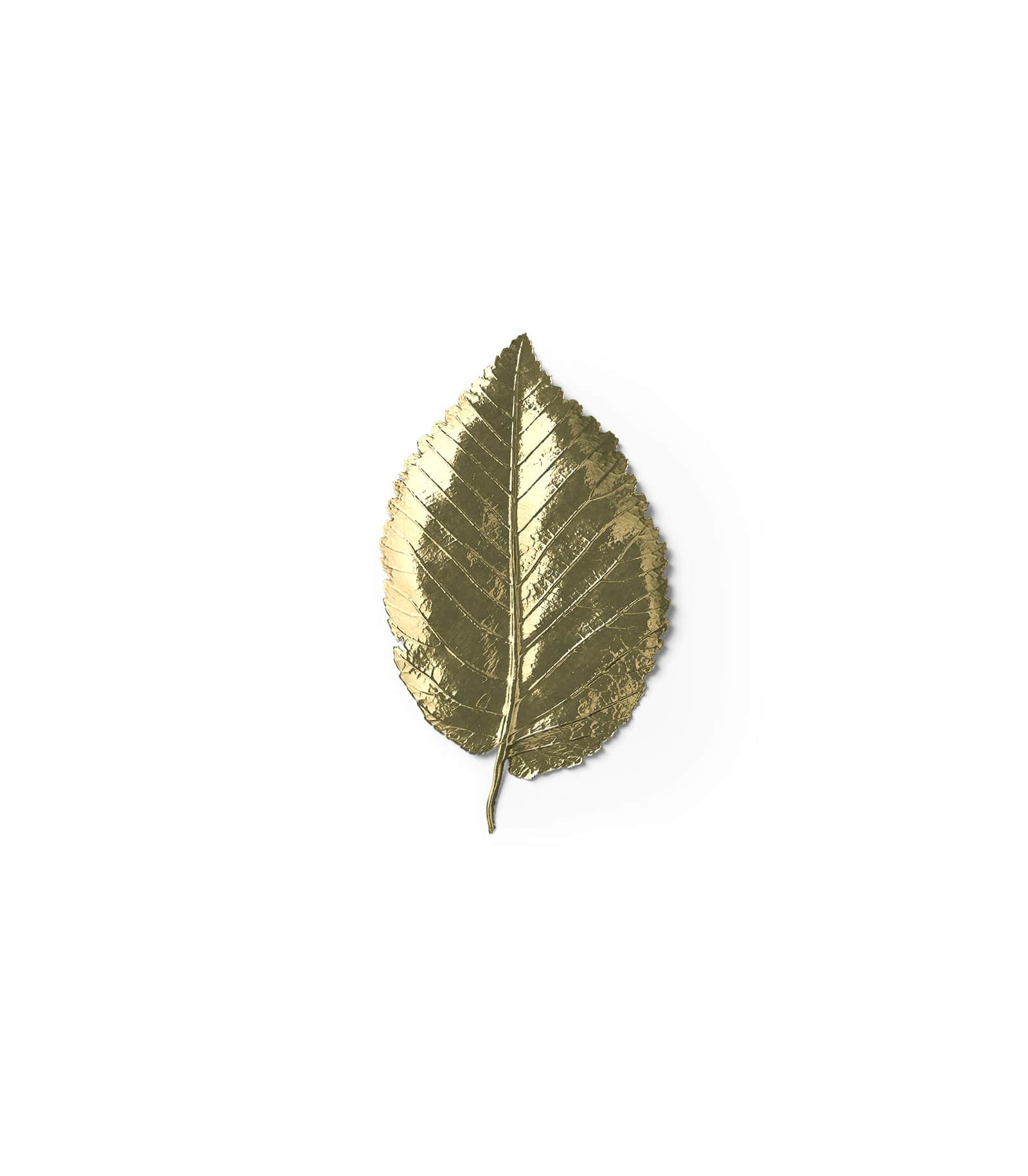 Mockup golden leaf v1 top Mockup Golden Leaf V1 Top