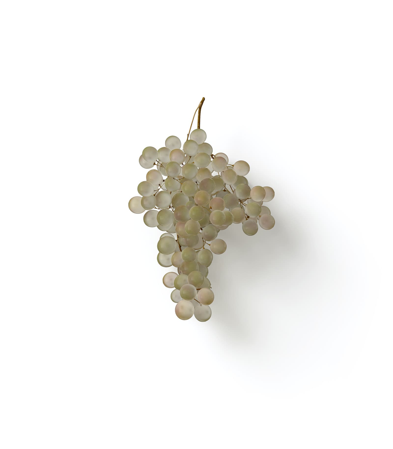 Mockup grapes top Mockup Grapes Top