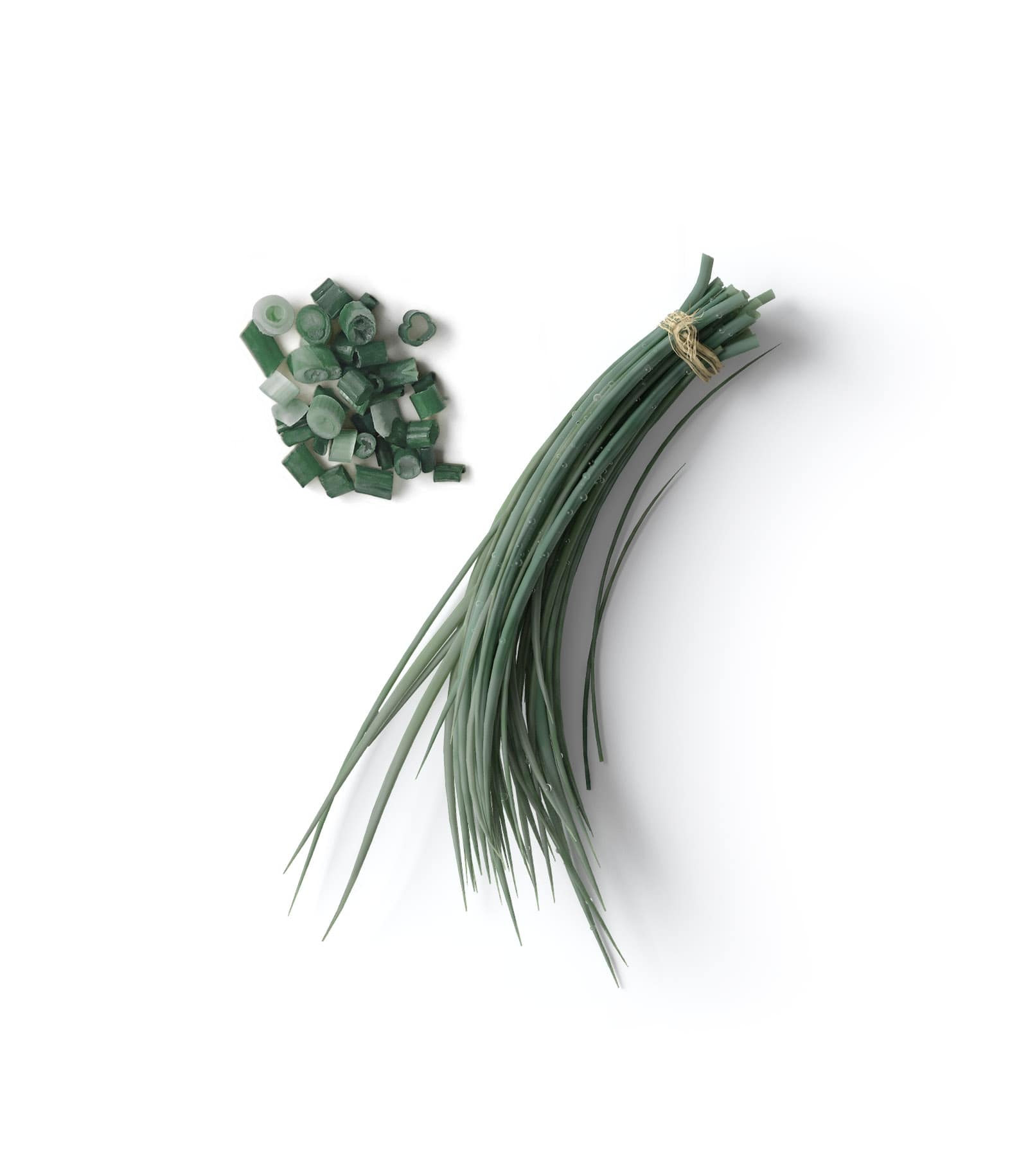 Mockup green onions top Mockup Green Onions Top