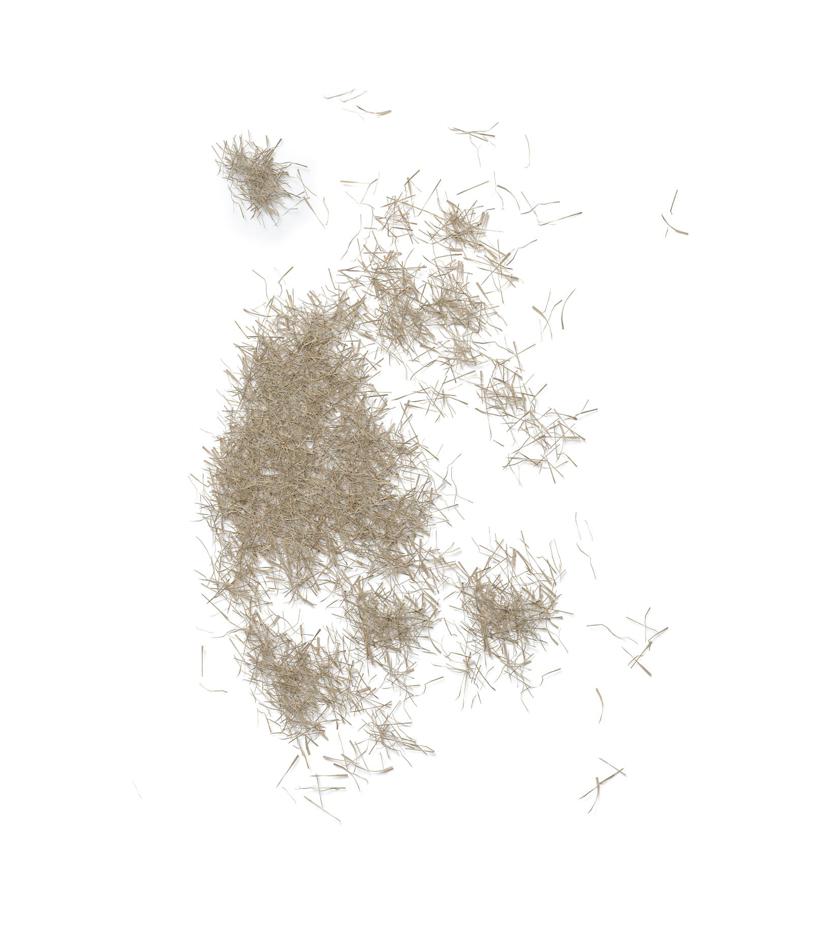 Mockup hay top Mockup Hay Top