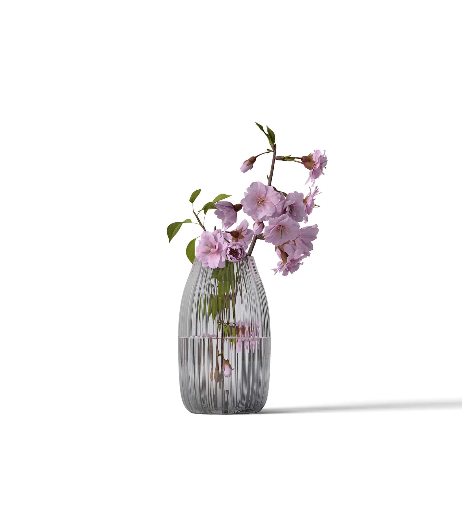 Mockup heather in vase front Mockup Heather In Vase Front