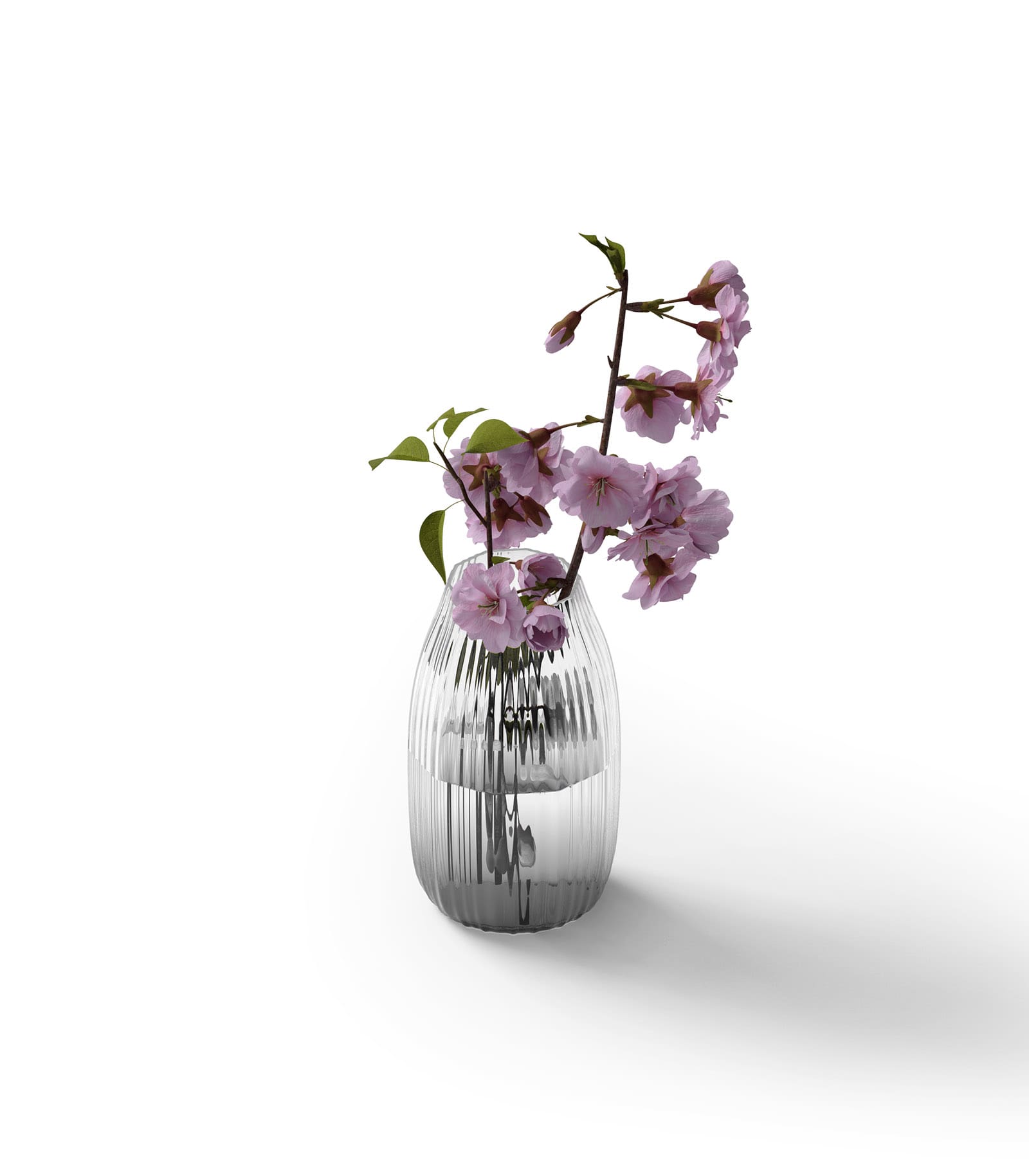 Mockup heather in vase isometric Mockup Heather In Vase Isometric