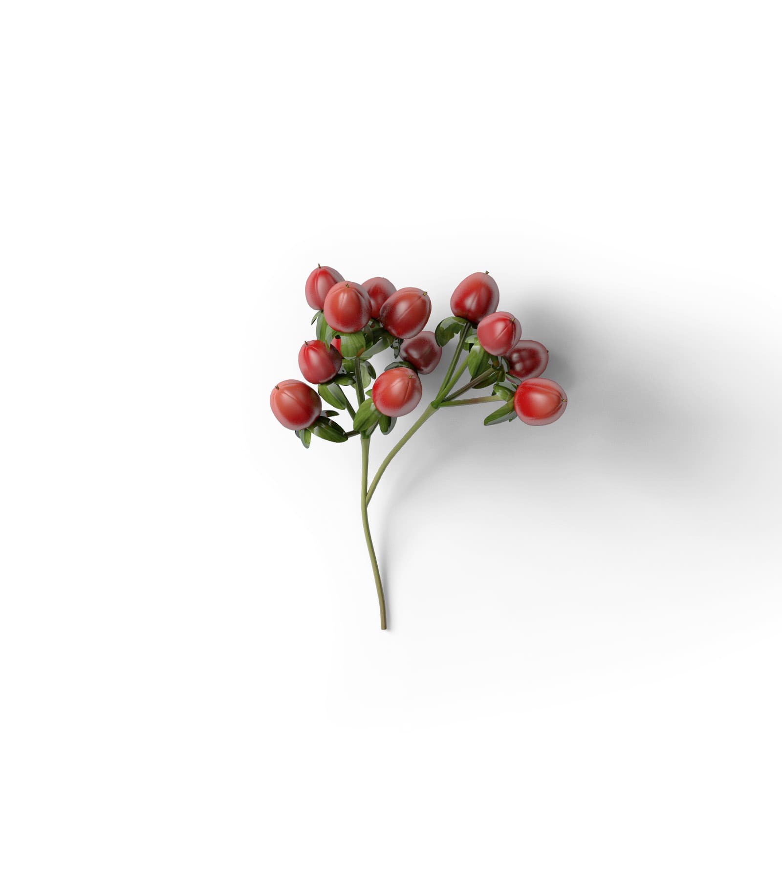 Mockup hyperikum top v1 Mockup Hyperikum Top V1